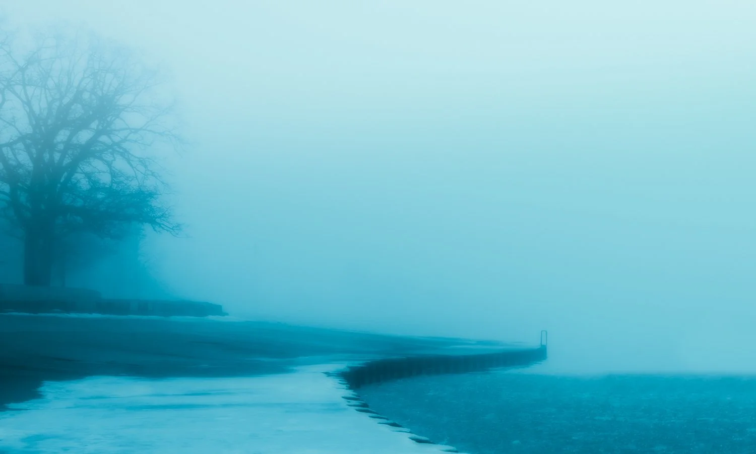 AAA_MG_3621-Enhanced-RD-Edit_10x6 ratio crop2 copy.jpg