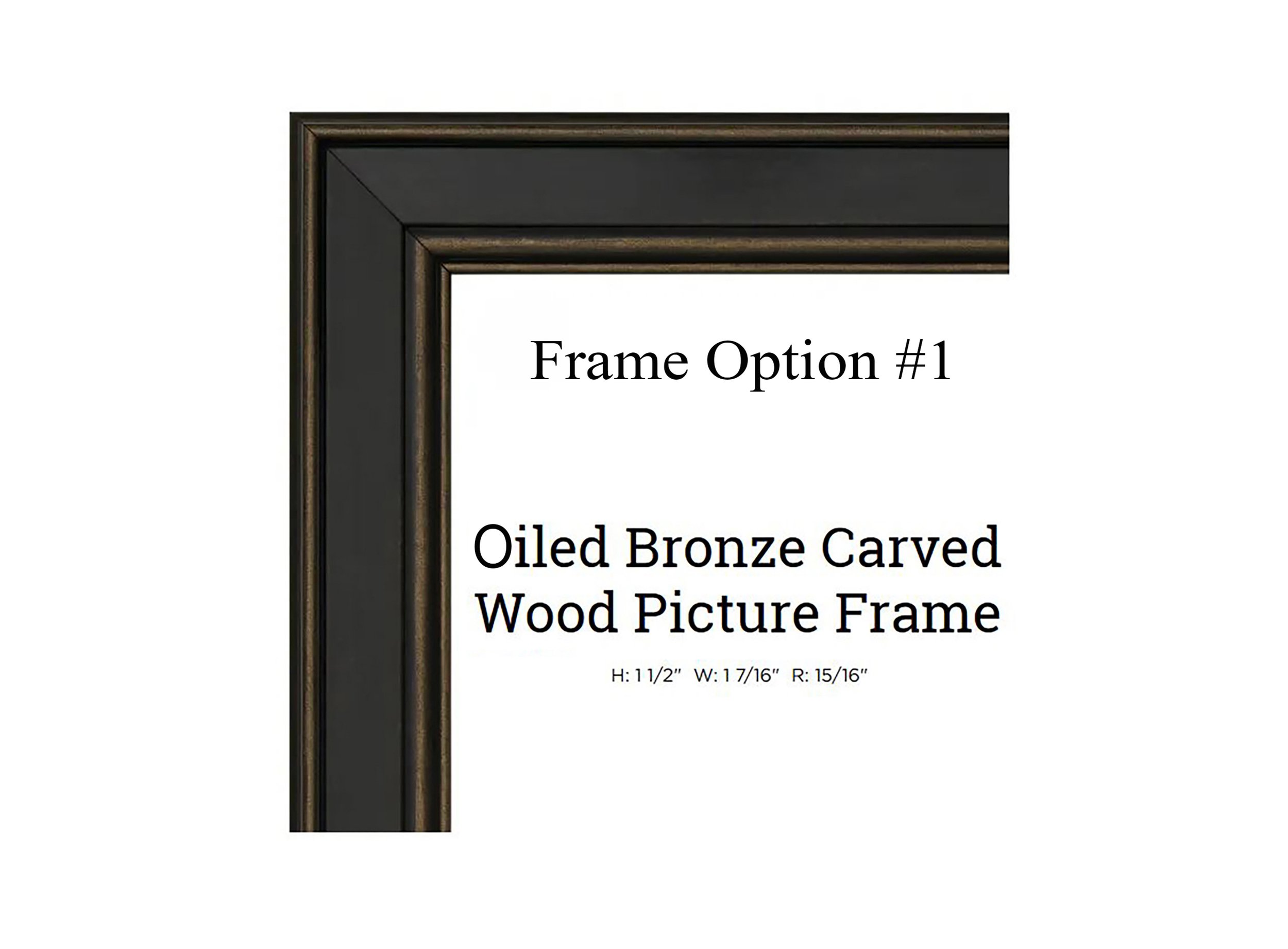 American Frame__ 40562.jpg