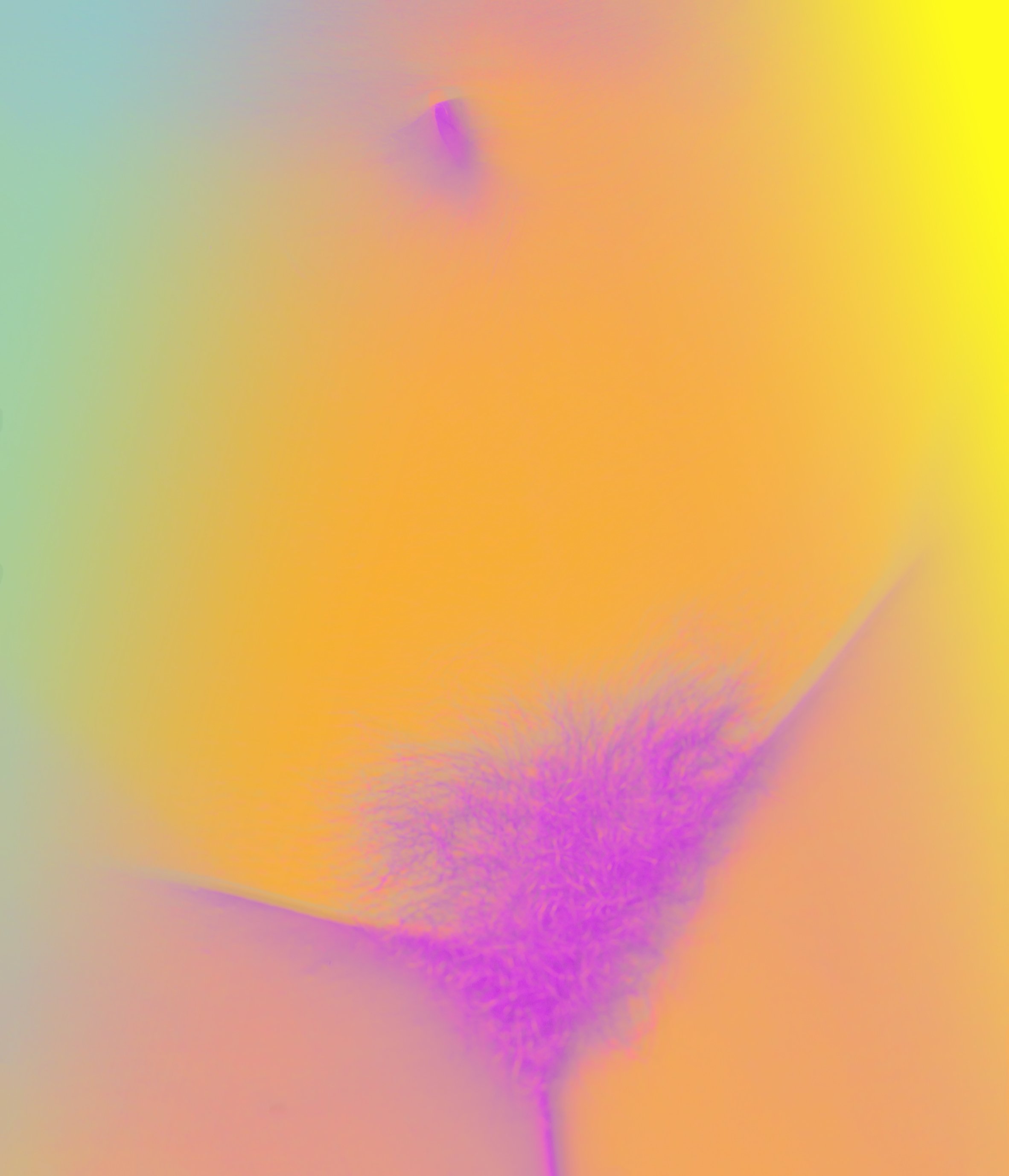deb 2 _Y_enlarged via automatic_gradient map_cropped winner_48x56 4square.jpg