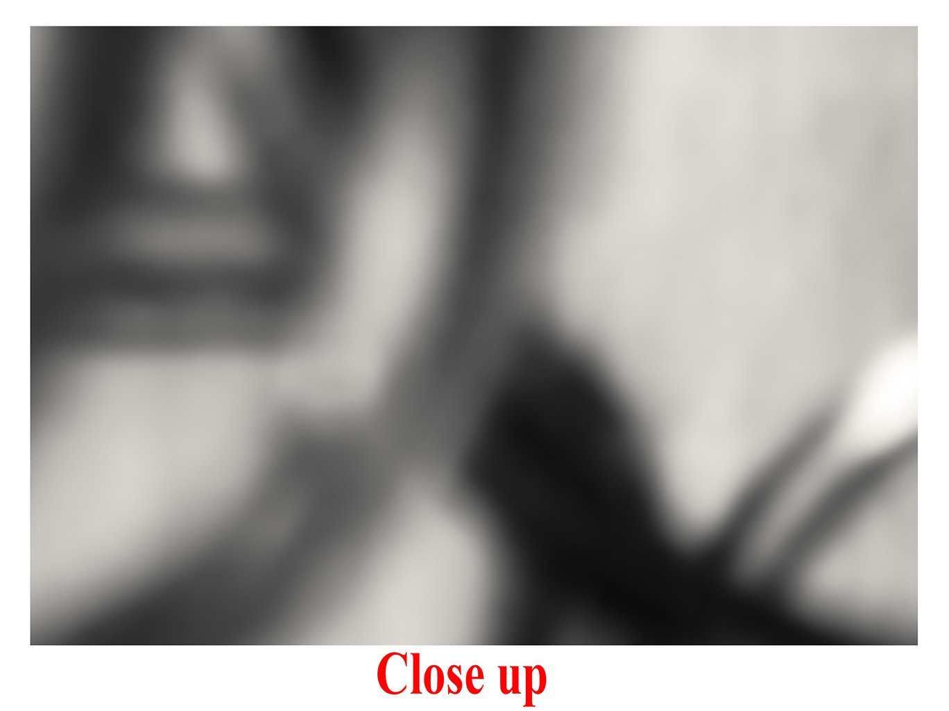 IMG615_Loop_3_cropped 34x42 closeup 4square.jpg