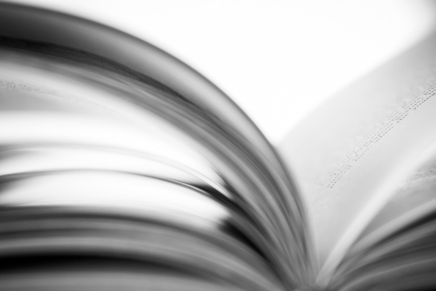 Portraits_of_Books-0051.jpg