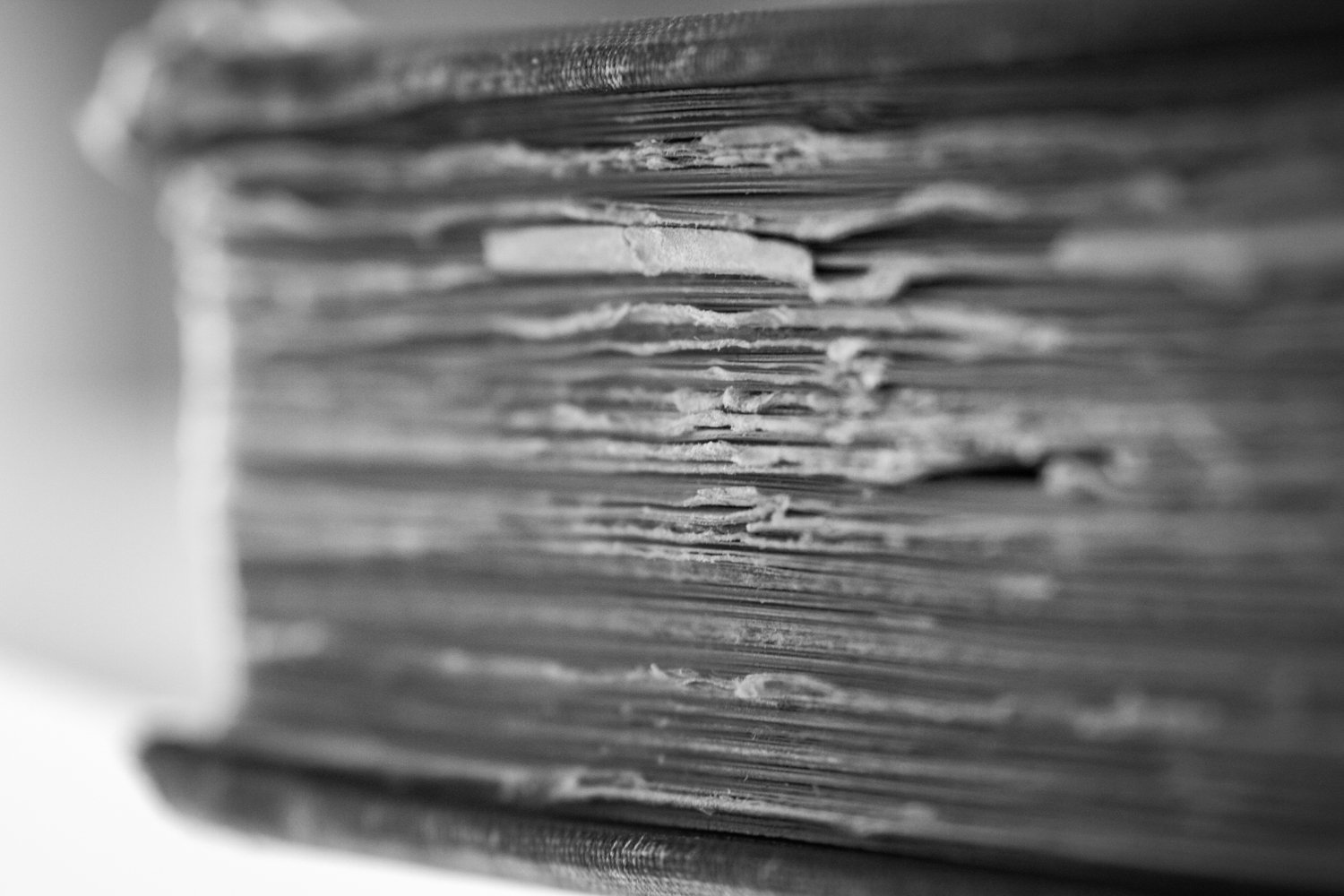20-Portraits_of_Books-0078.jpg