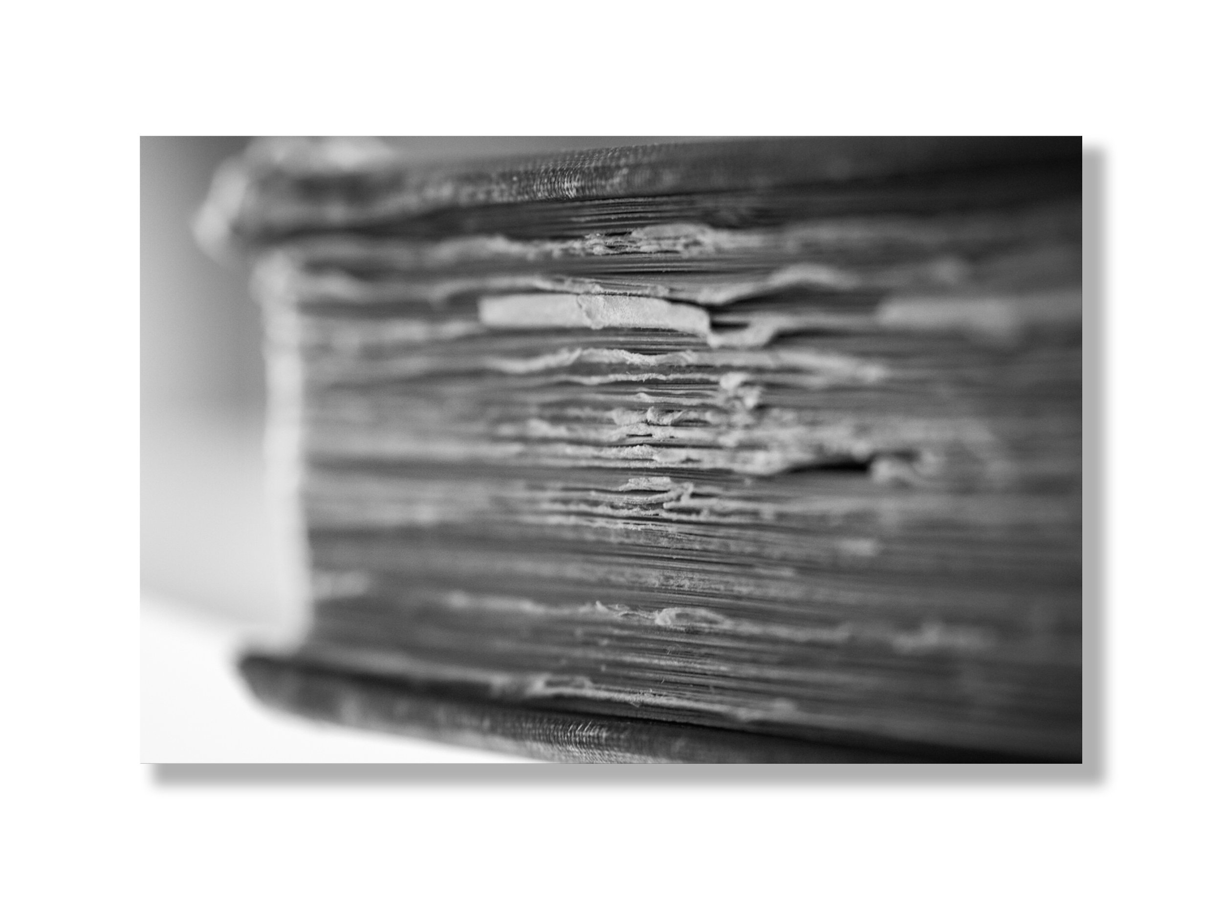 blank 19x14 - Copy.jpg