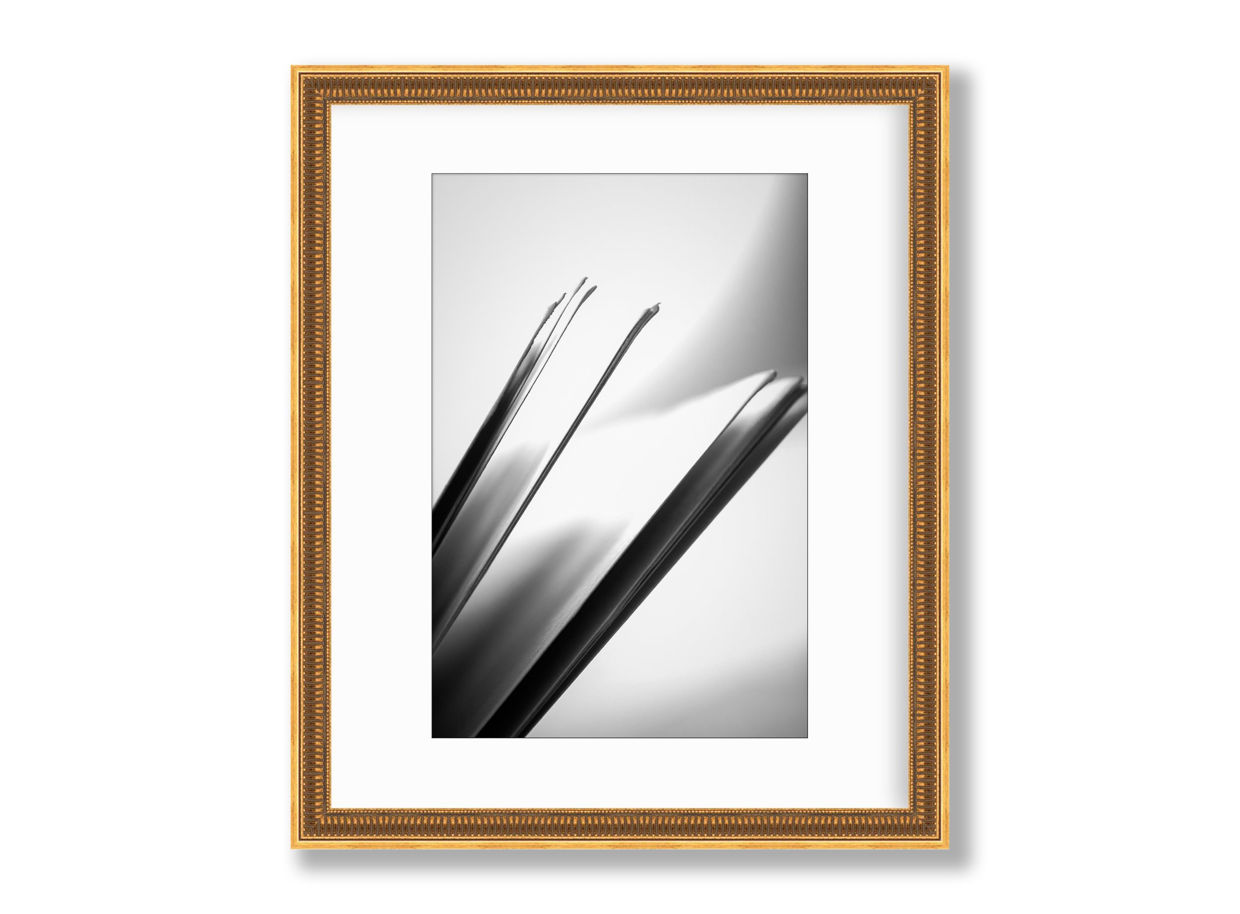 Framed art 4 square-gold vertical.jpg