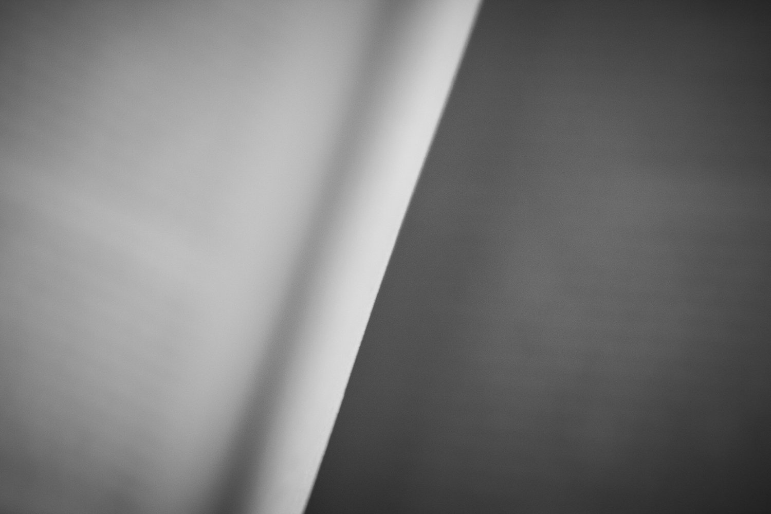 Portraits_of_Books-0021.jpg