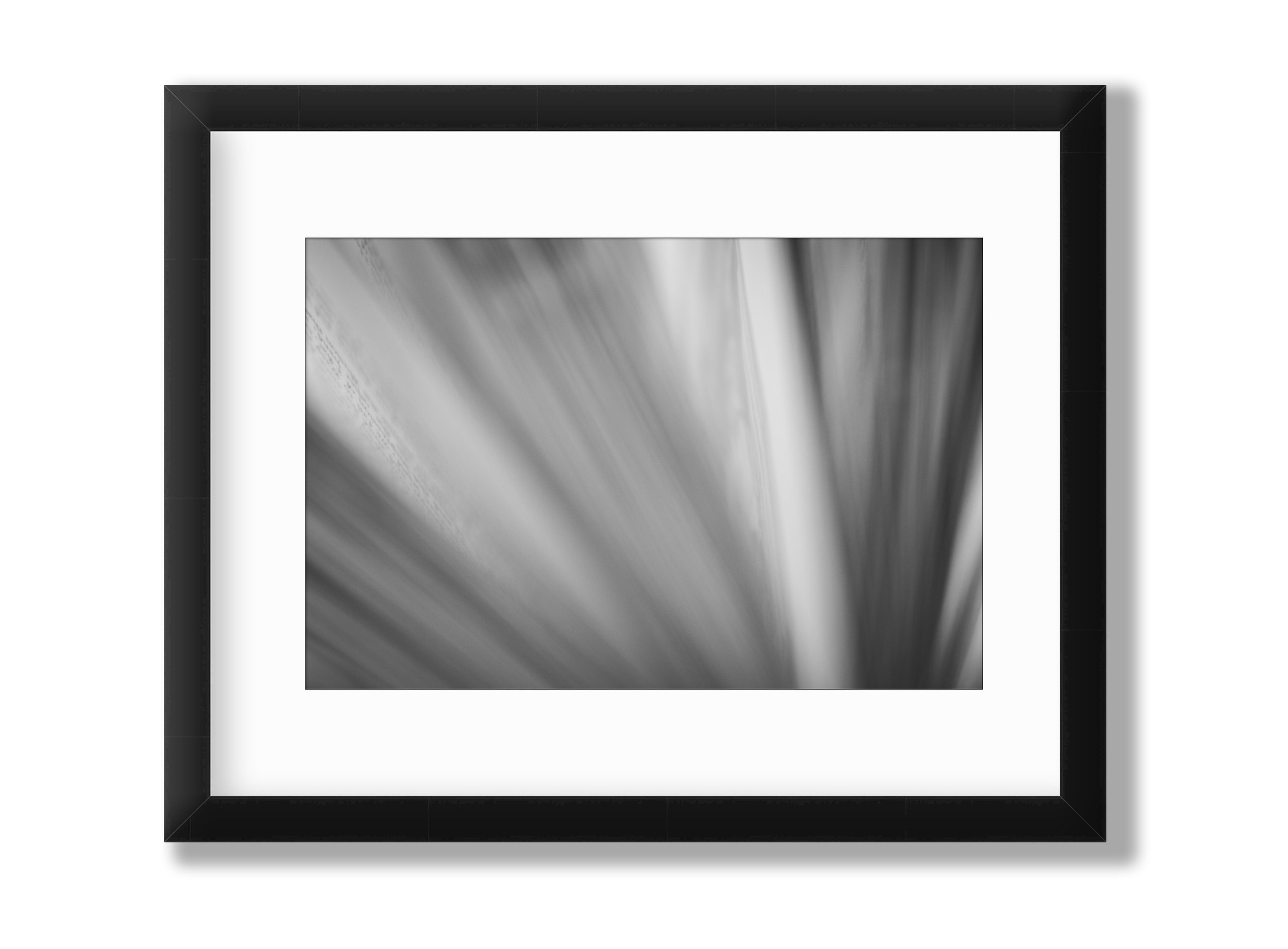 Framed art 4 square-black Hortz.jpg