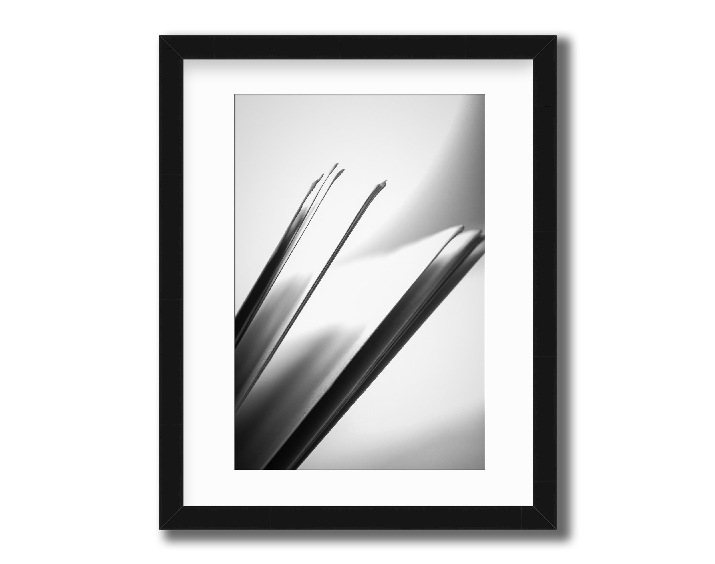 framed art 4 square-black vert.jpg