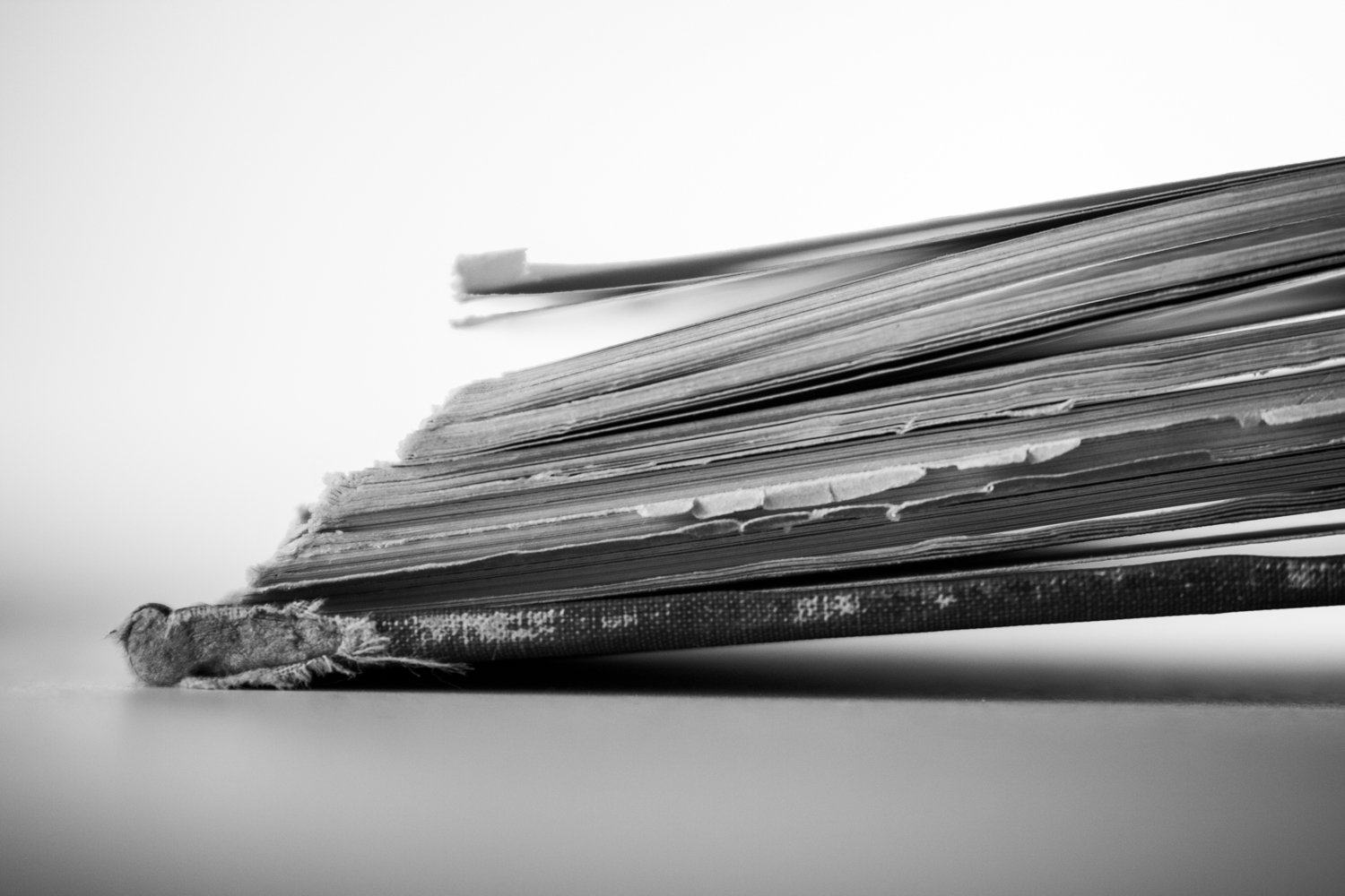 19-Portraits_of_Books-0003.jpg