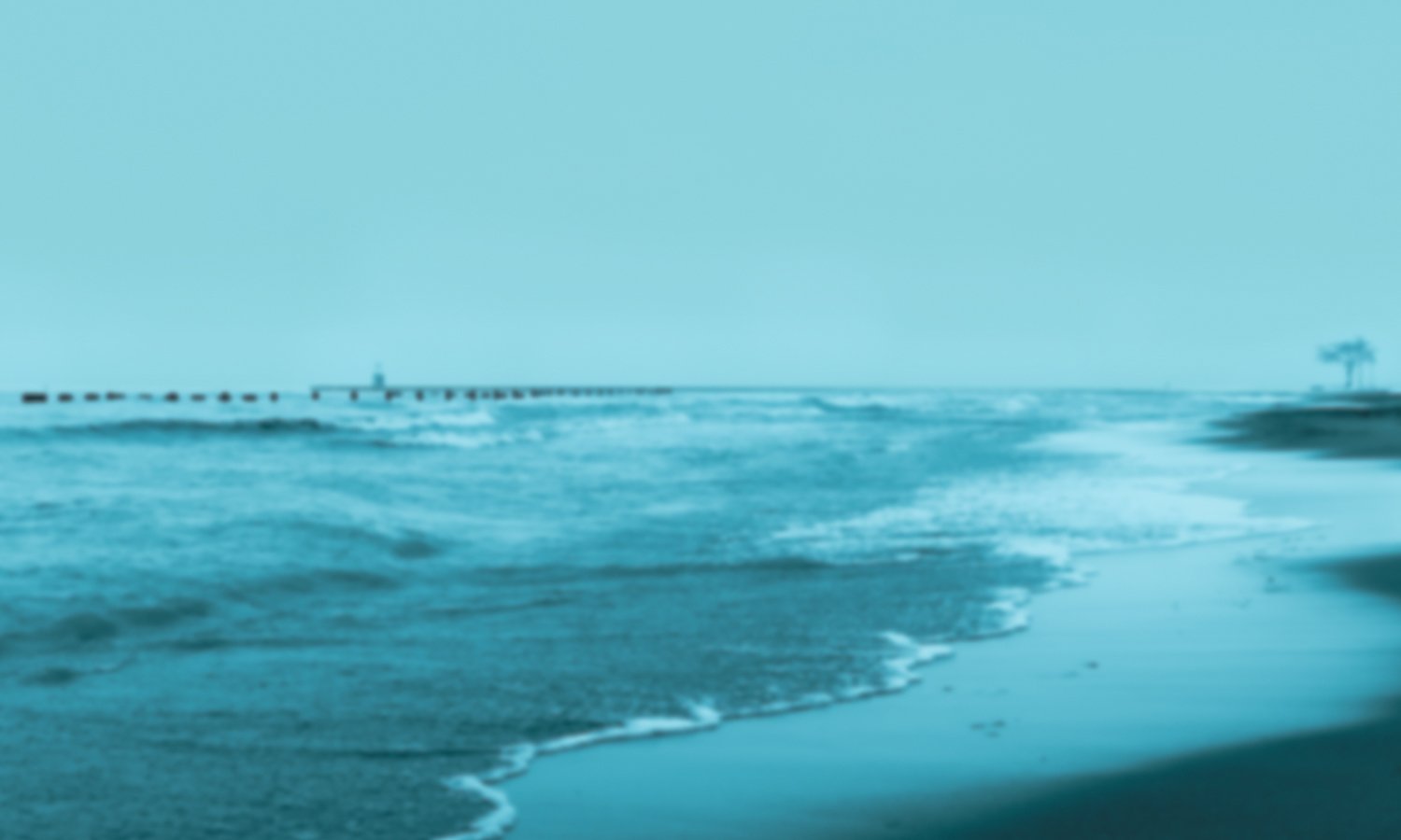 GG_Winter_Harbors_MG_5723-Enhanced-NR_10x6 Ratio Crop copy2 copy.jpg