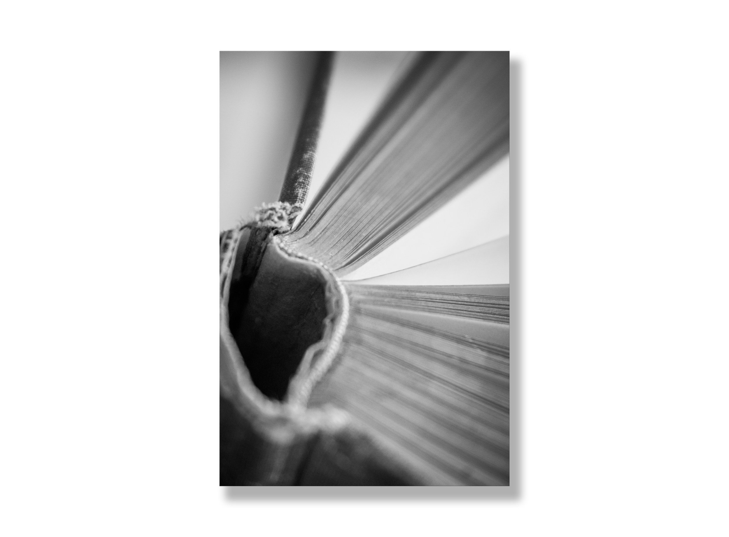 blank 19x14 - Copy.jpg