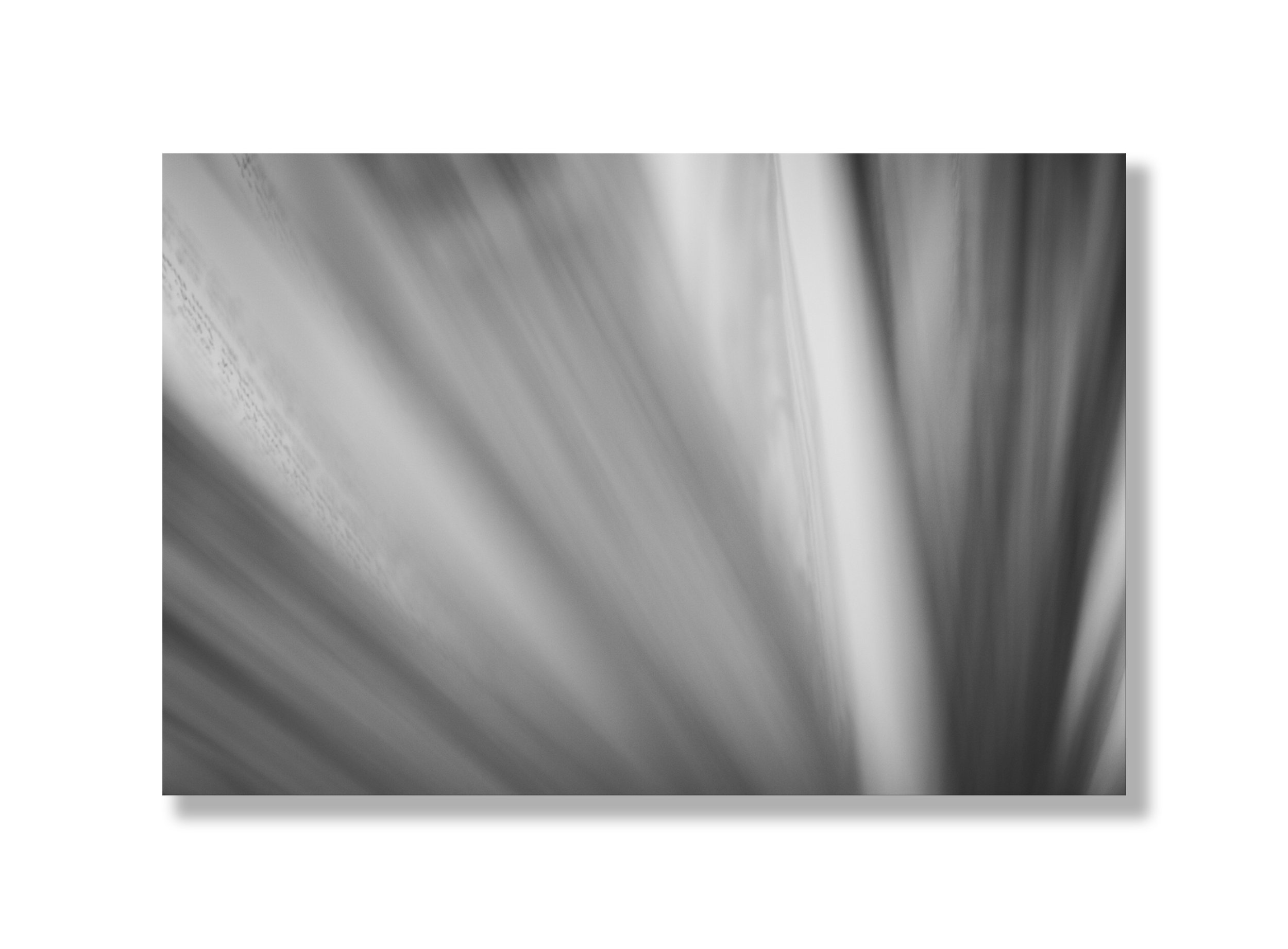 blank 19x14 - Copy.jpg