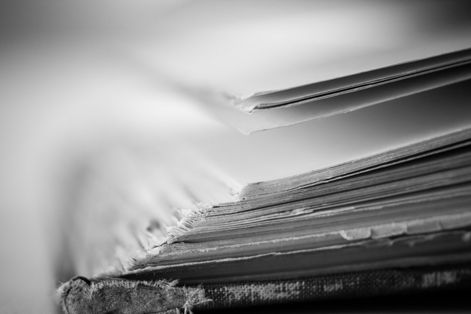 18-Portrait_of_a_Book-0074.jpg