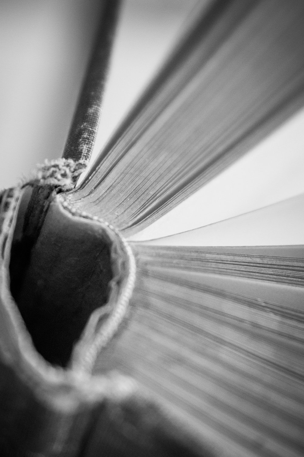 14-Portraits_of_Books-0064.jpg