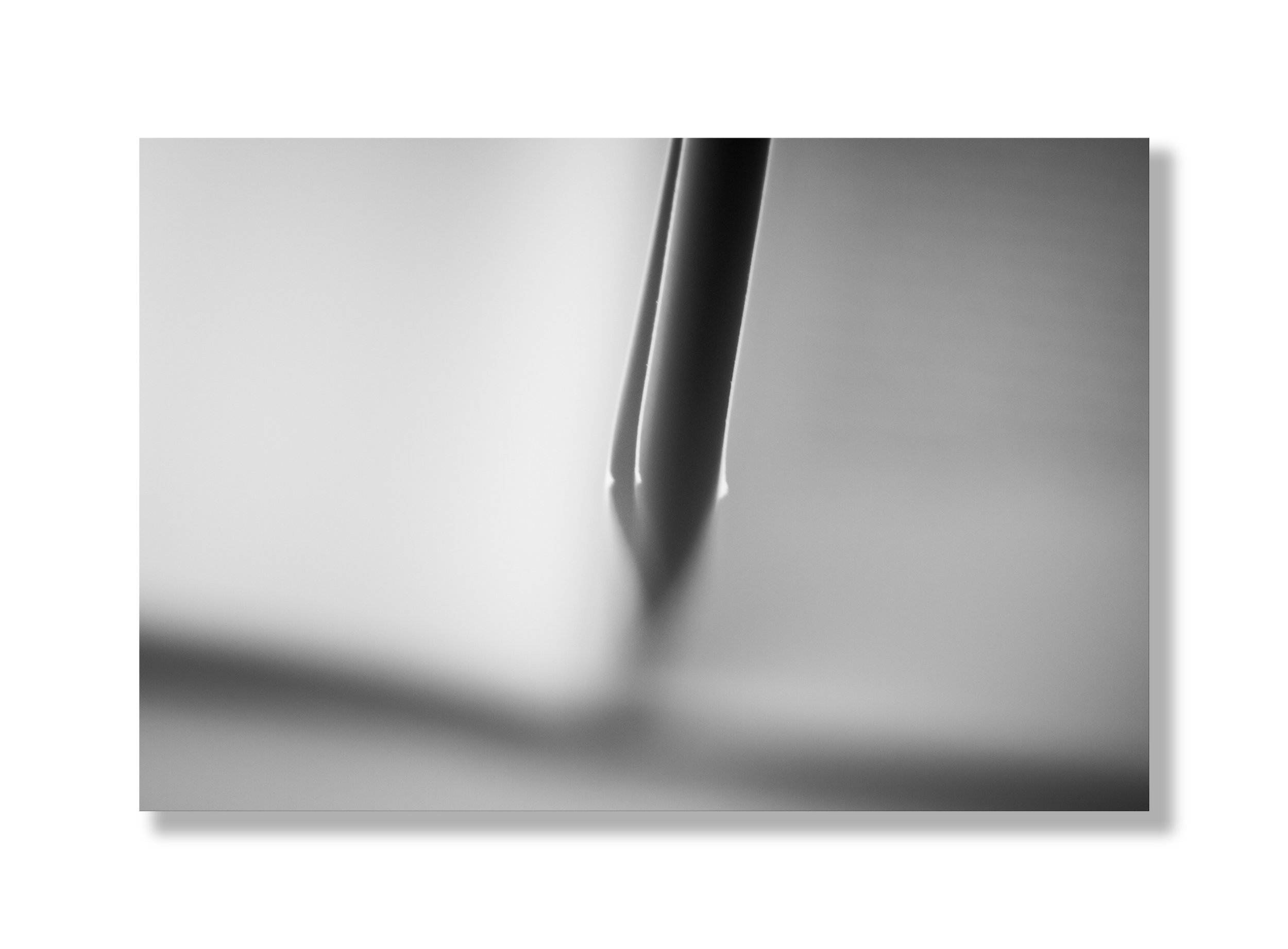 blank 19x14.jpg