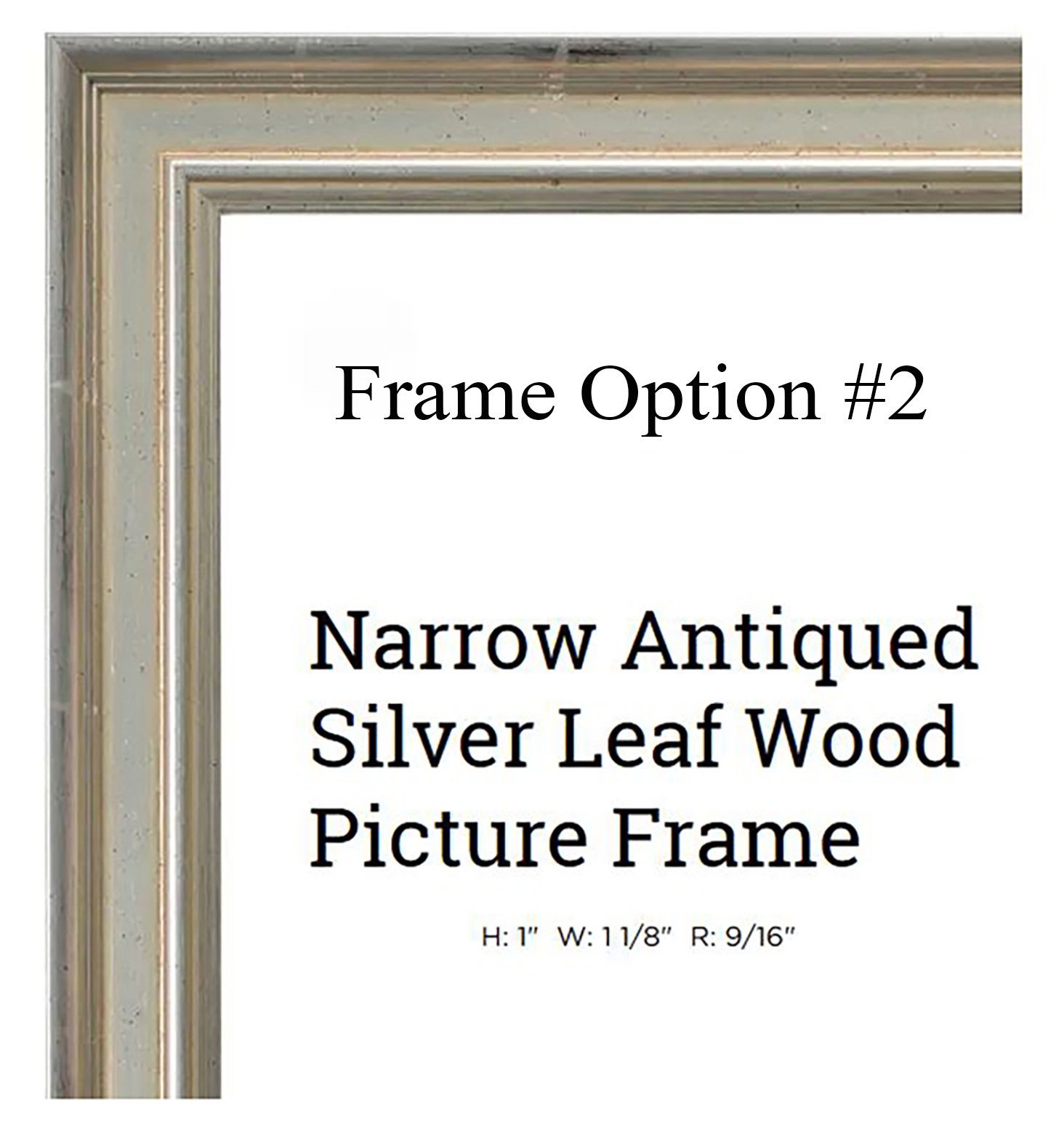 American Frame__403237.jpg