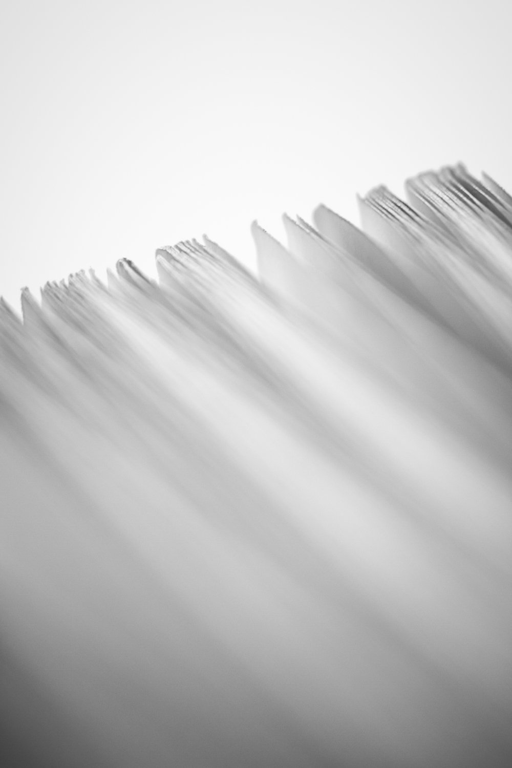 12-Portraits_of_Books-0071.jpg