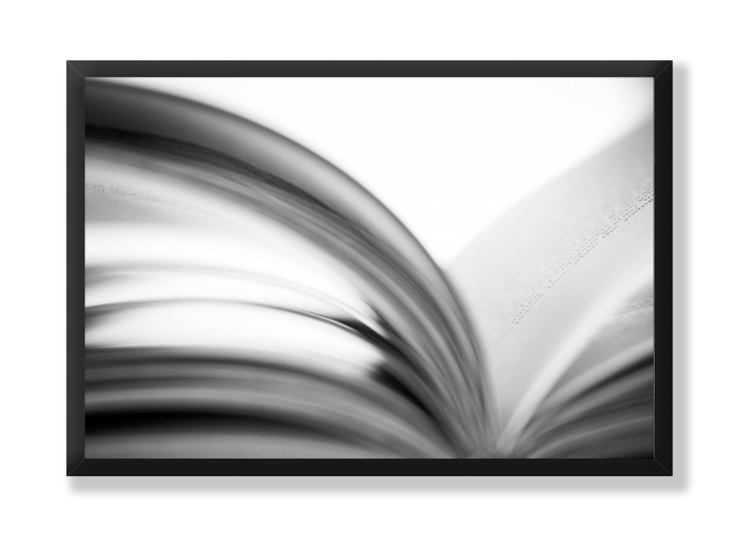 51-3 black full frame.jpg