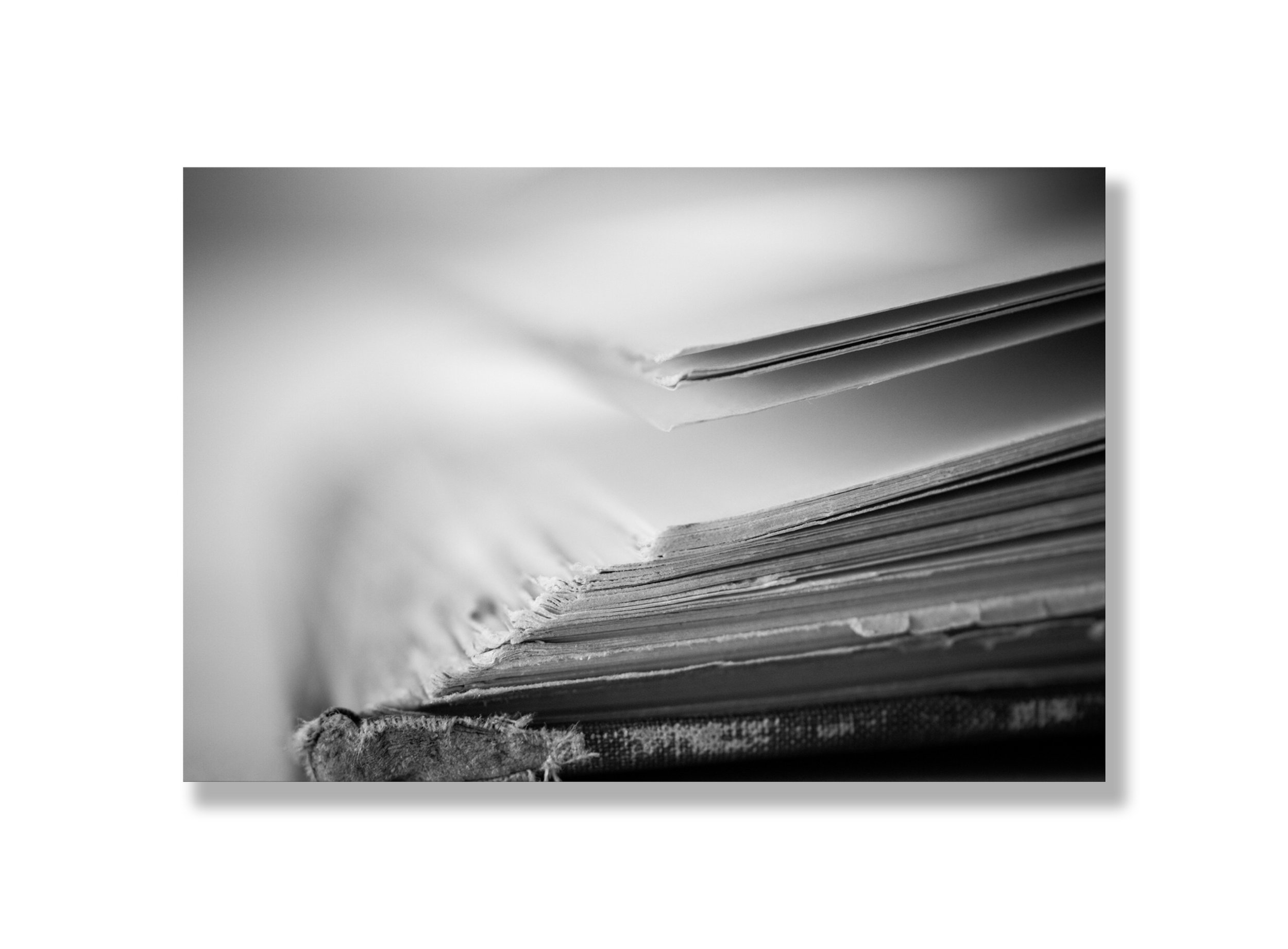 blank 19x14 - Copy.jpg