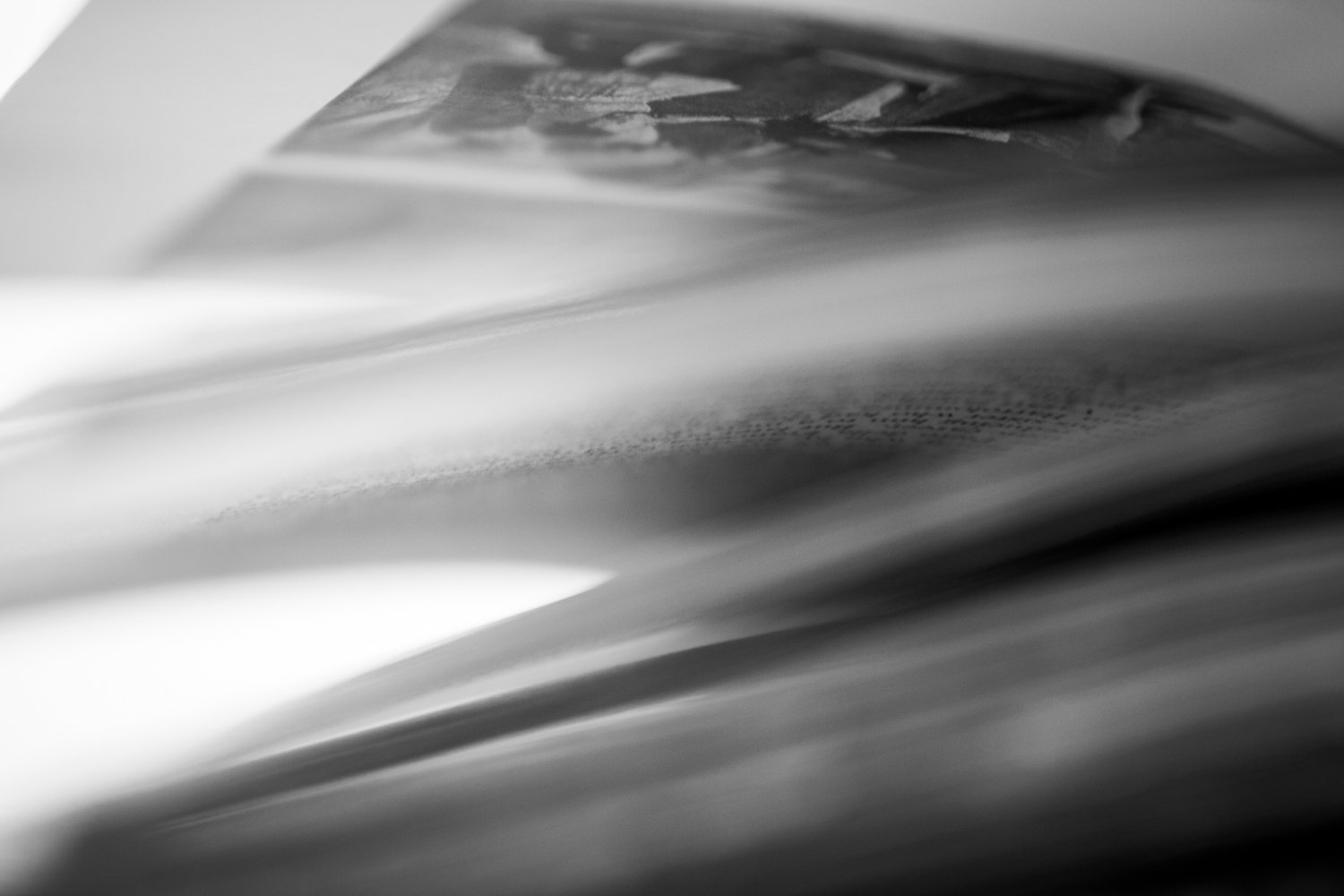 Portraits_of_Books-0041_4.jpg