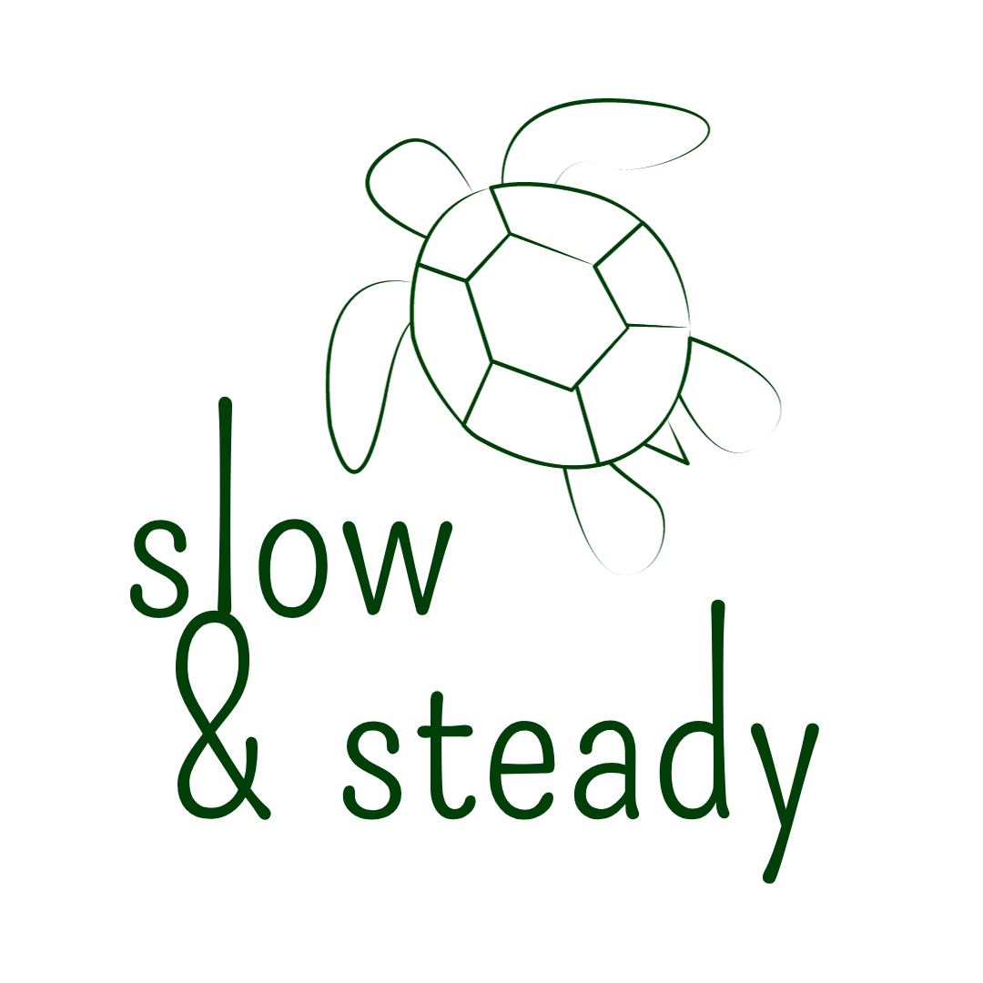 Slow &amp; Steady by Janine