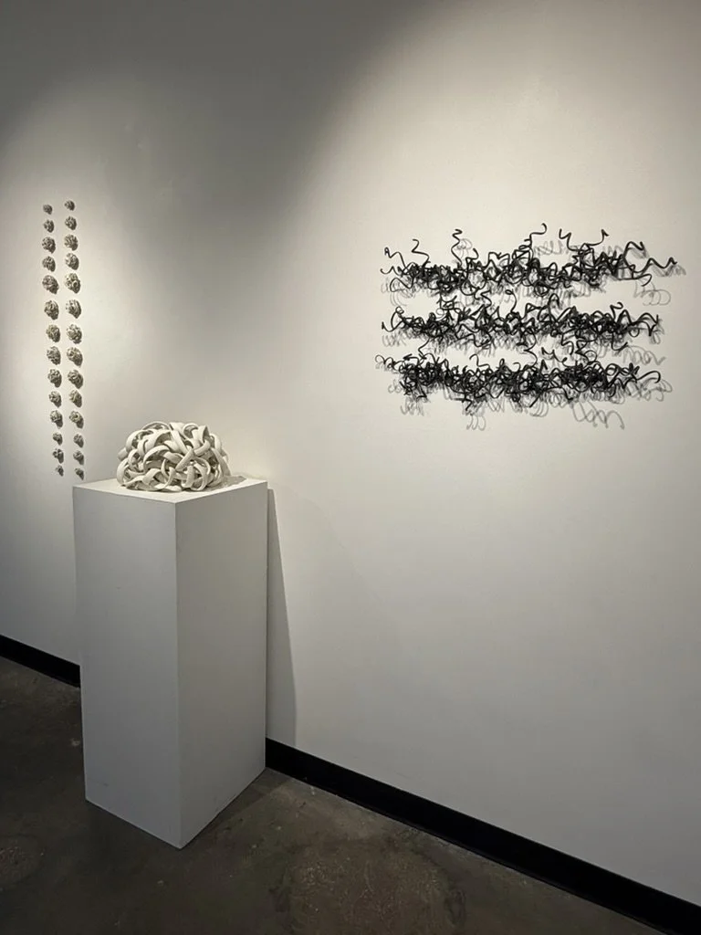 Wall View Night Echo