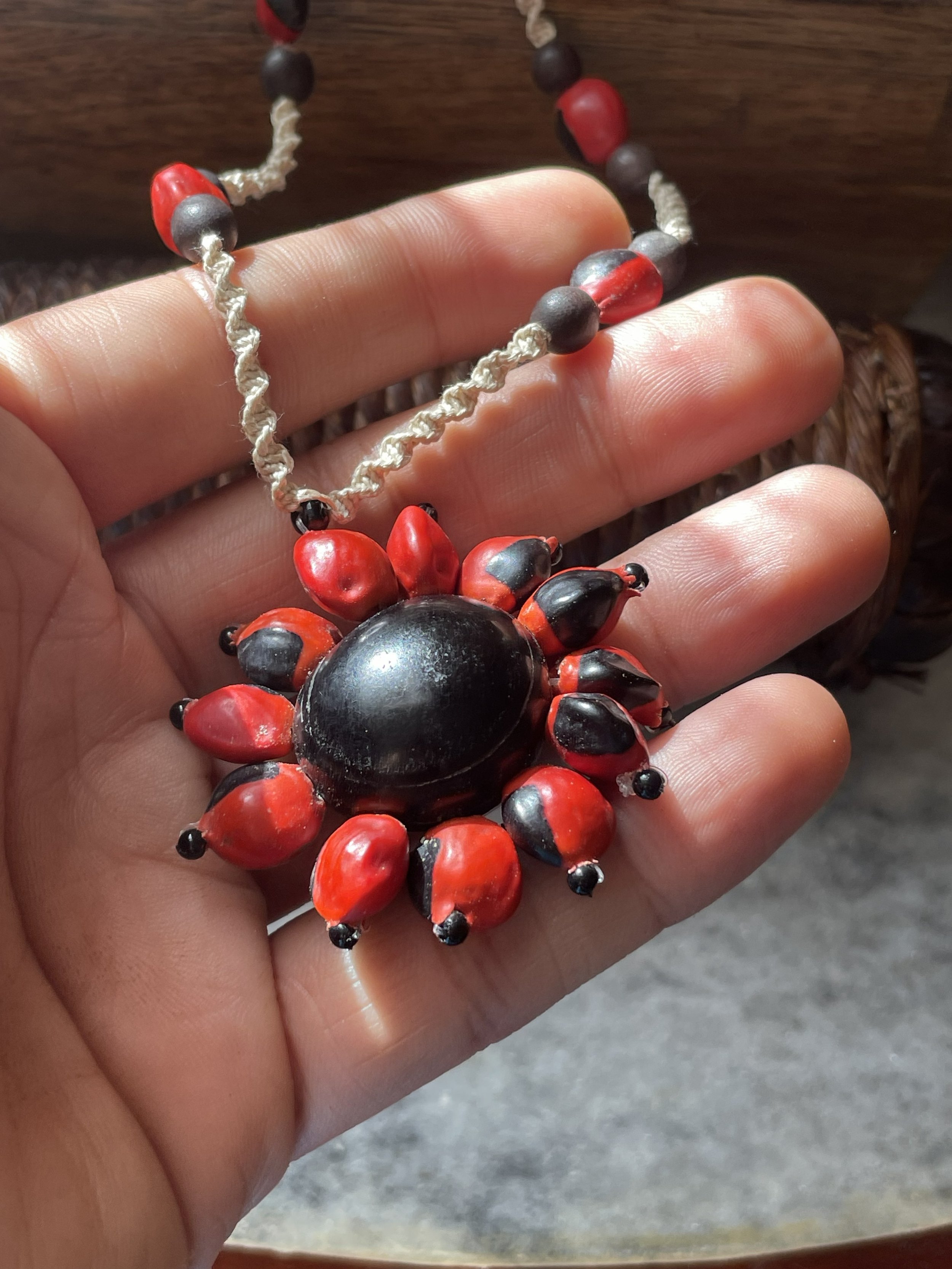 ojo de venado shaman 2.jpg