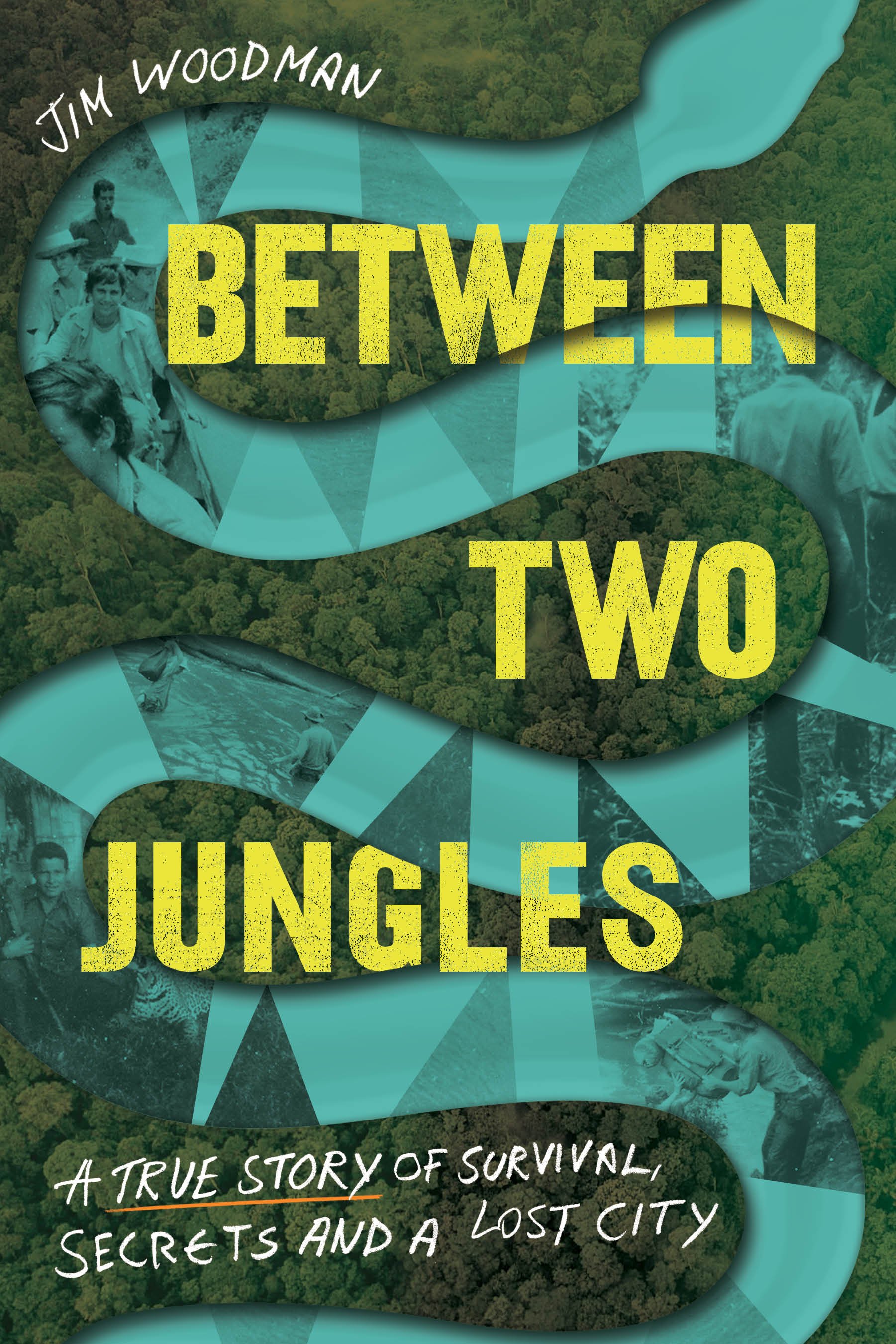 Cover of snake and jungle theme