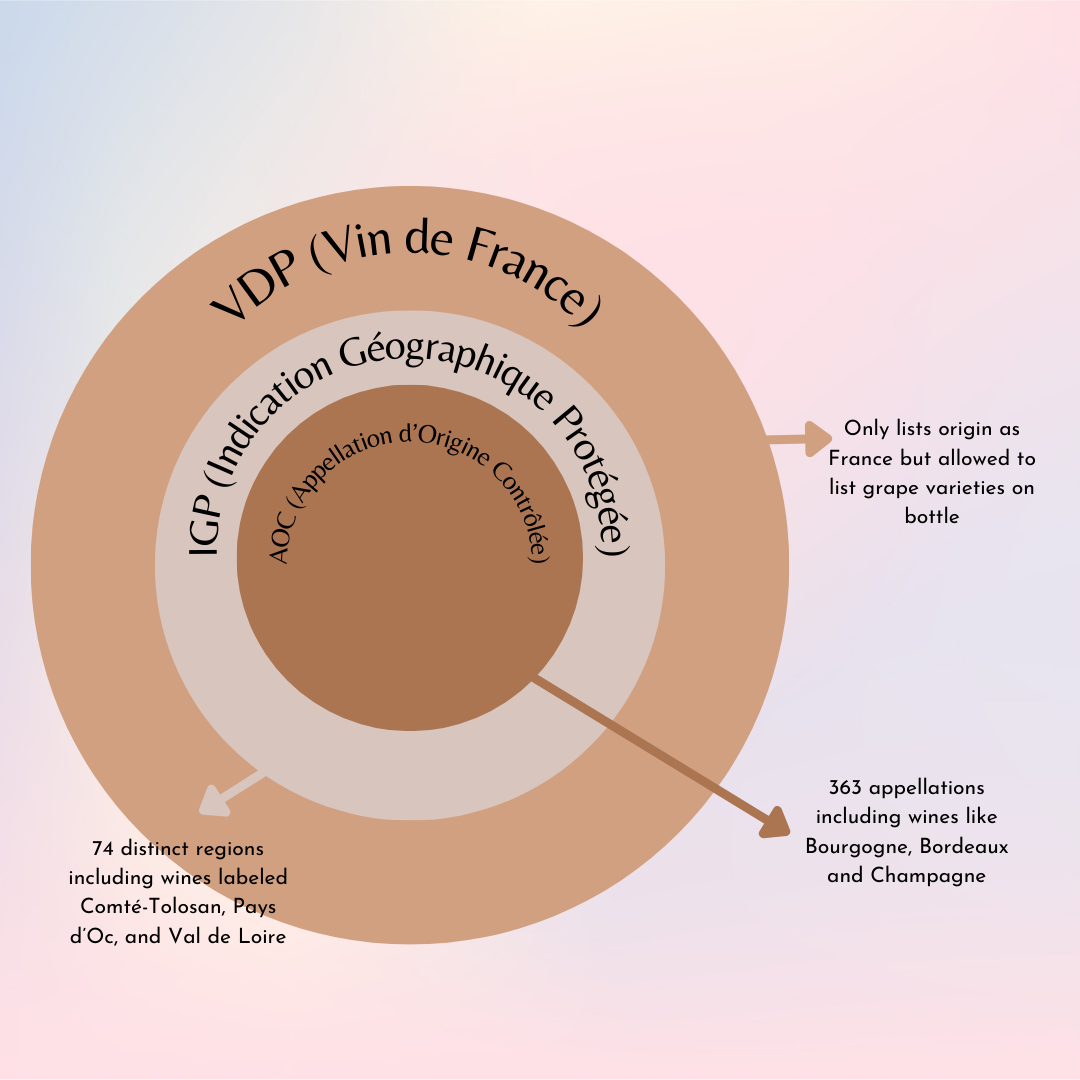 Deep Dive Into Burgundy Wine Classifications — Pour Decisions