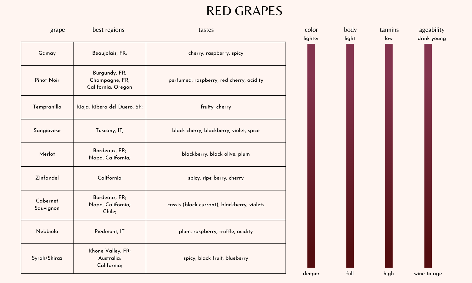 Red Wine 101 — Pour Decisions