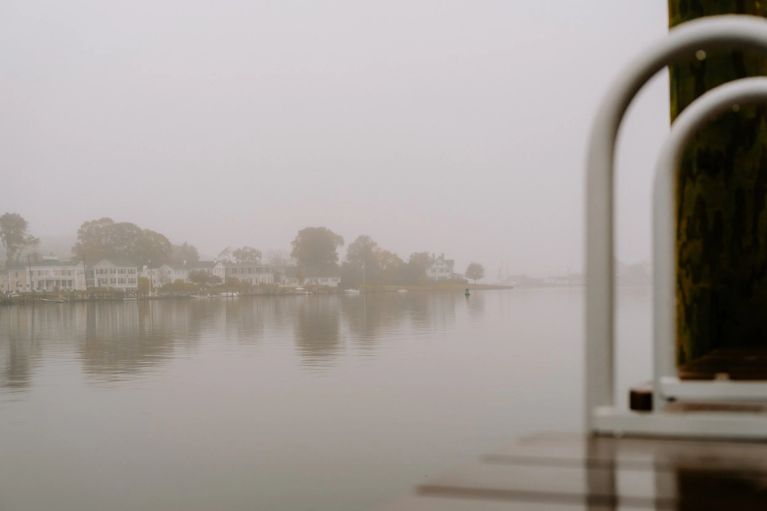 A foggy waterfront scene with houses and trees along the shore, seen from a dock with a ladder on the right side.