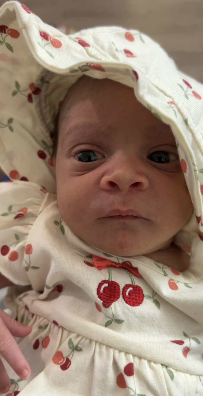 Screenshot 2026-03-17 at 5.35.42 PM.png