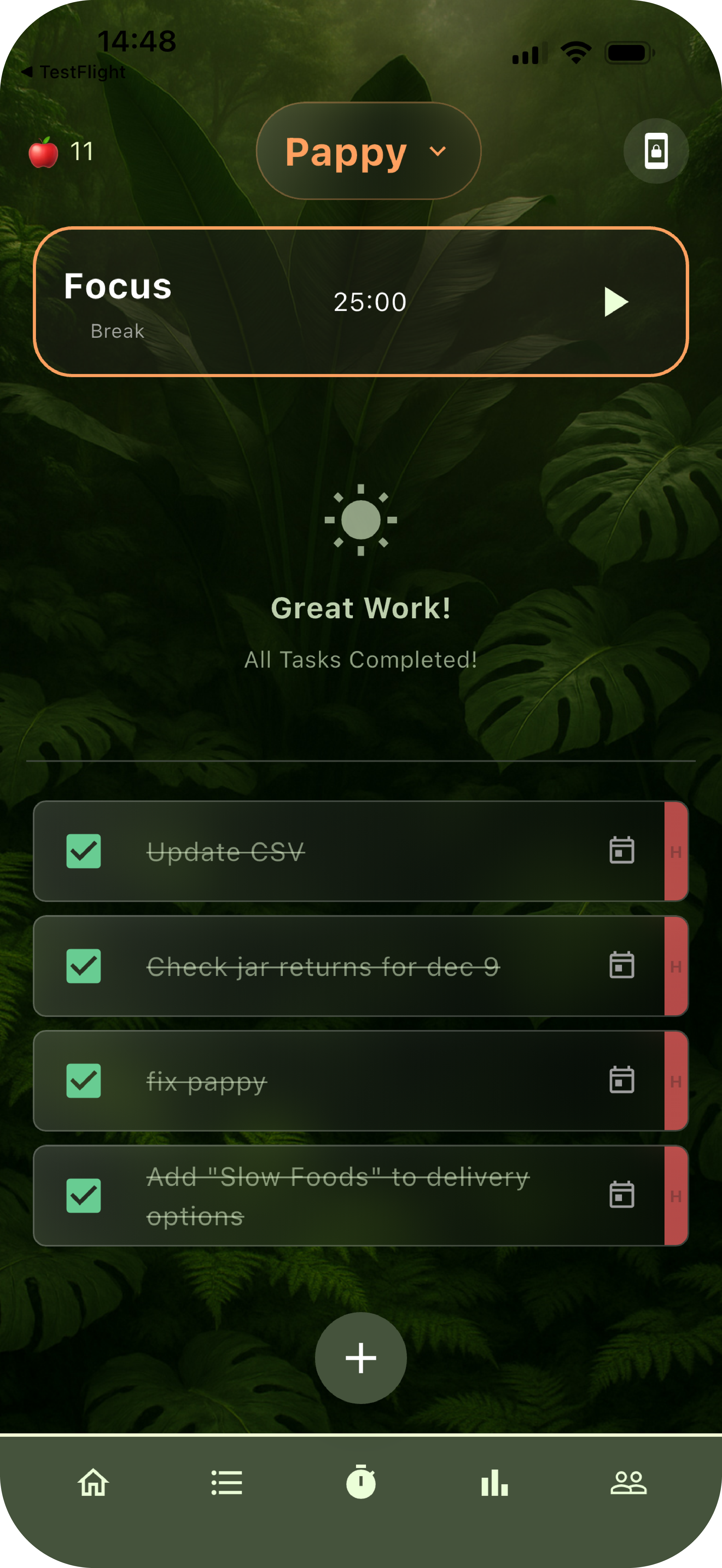 Finished Project view.png