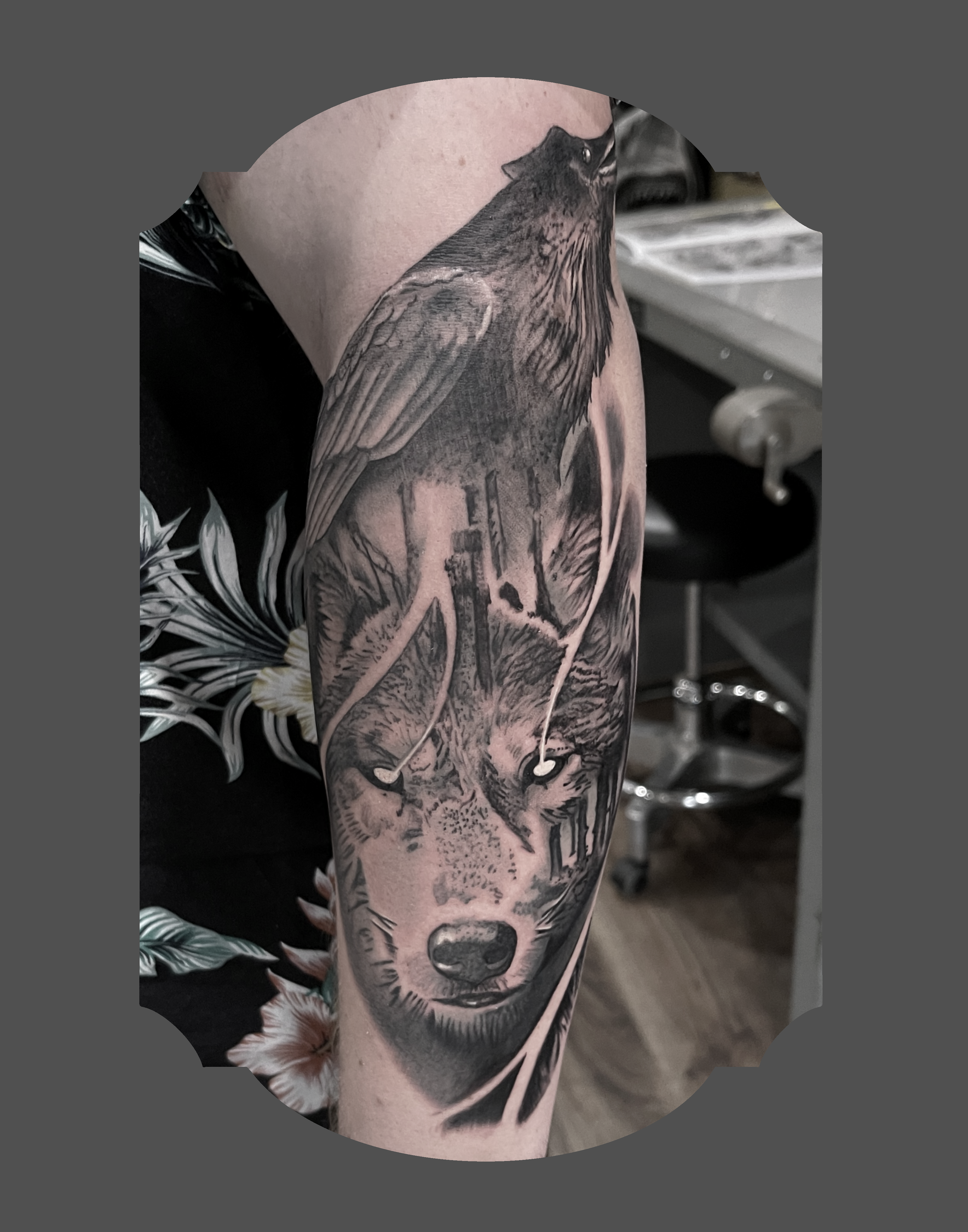 Black and gray tattoo of a realistic wolf's face on a person's arm in a tattoo studio.