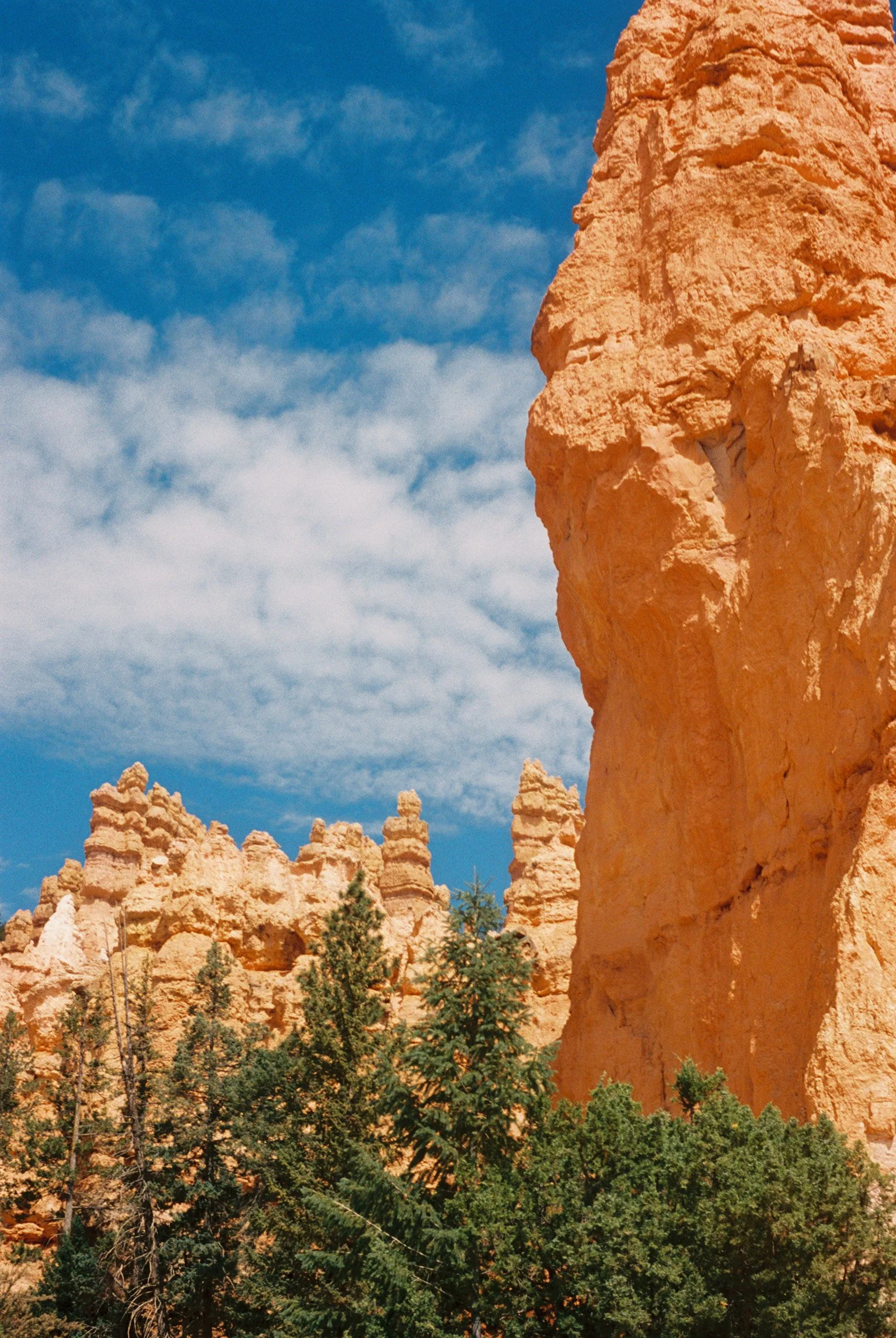 IMG1847-R01-032A.jpg