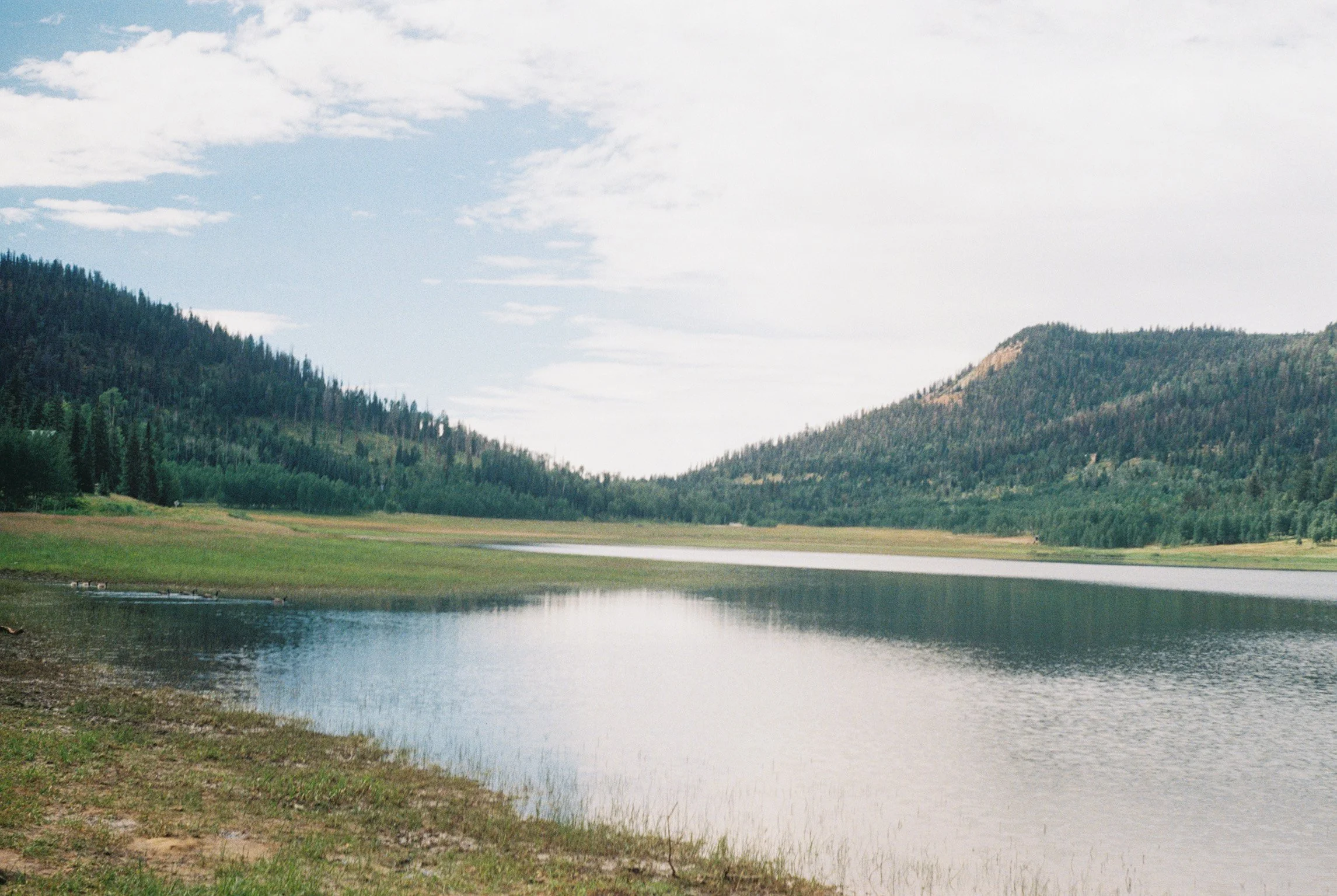 IMG1849-R01-004A.jpg