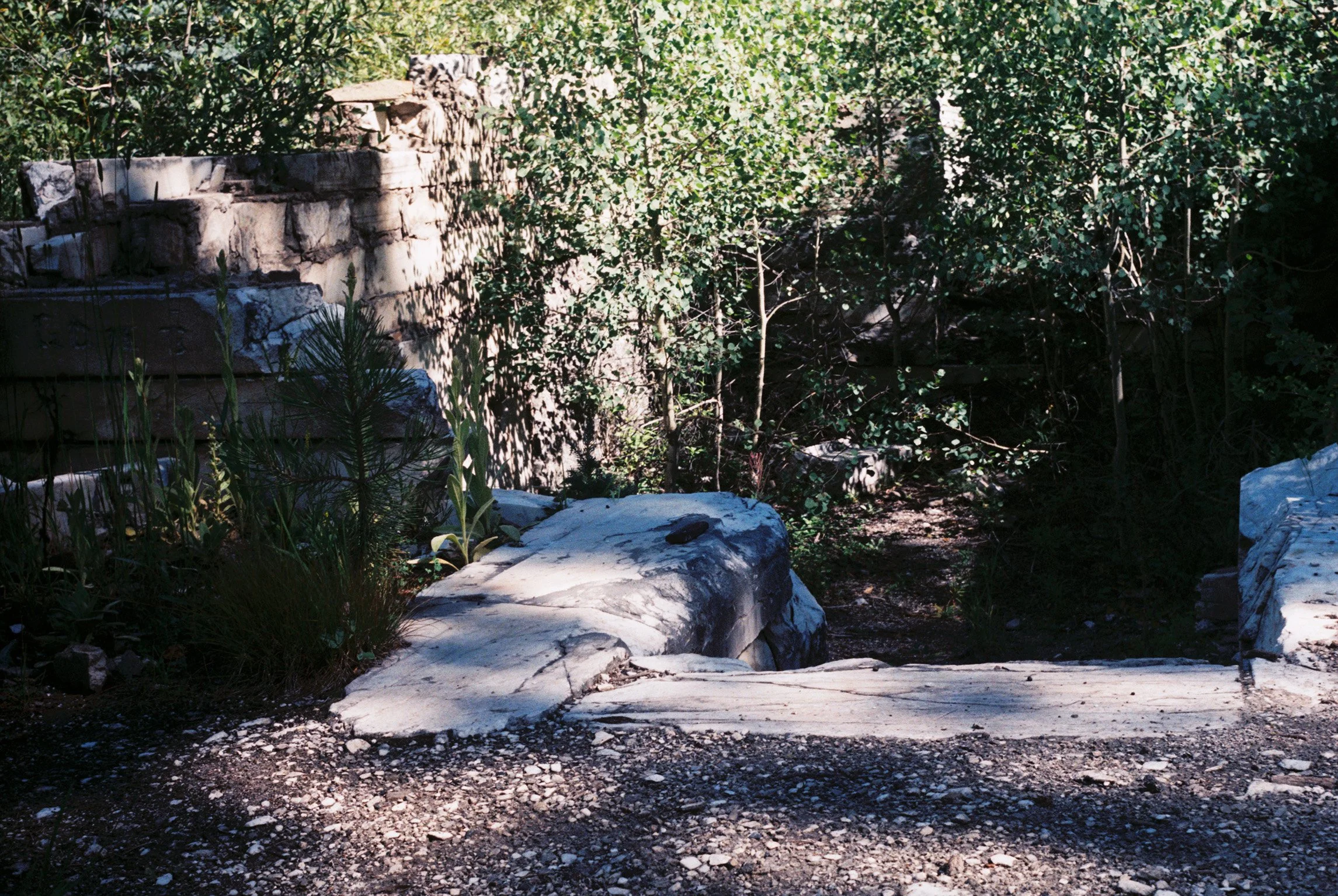 IMG6898-R01-002.jpg