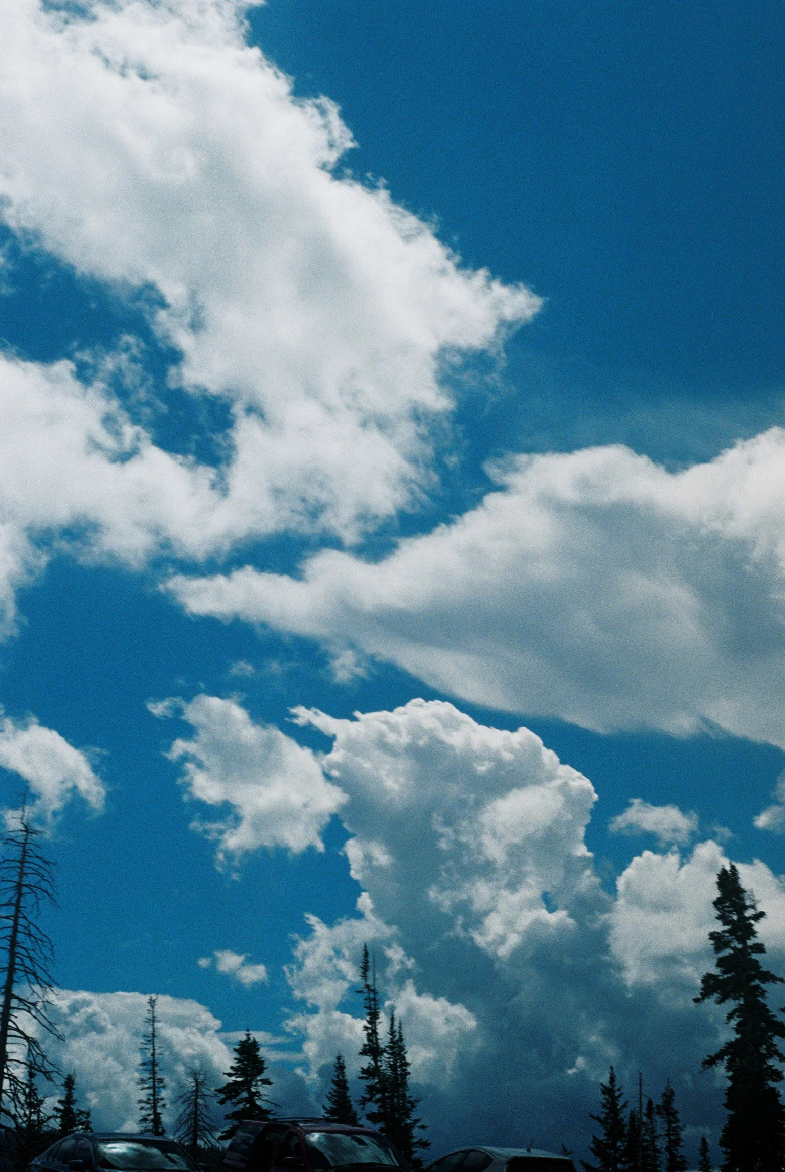 IMG1849-R01-011A.jpg