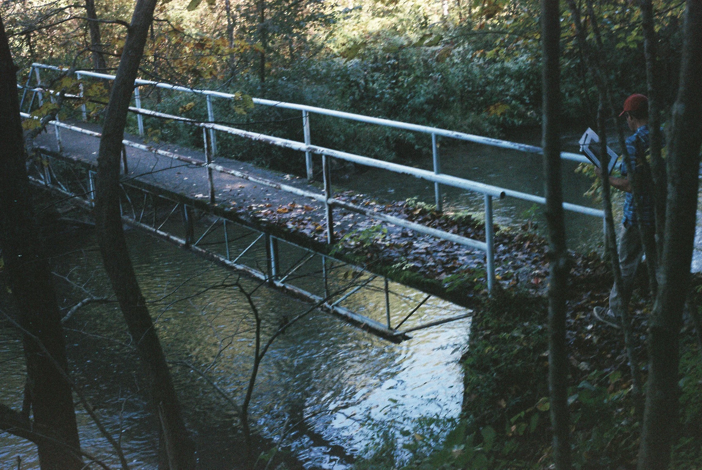 IMG4126-R01-018.jpg