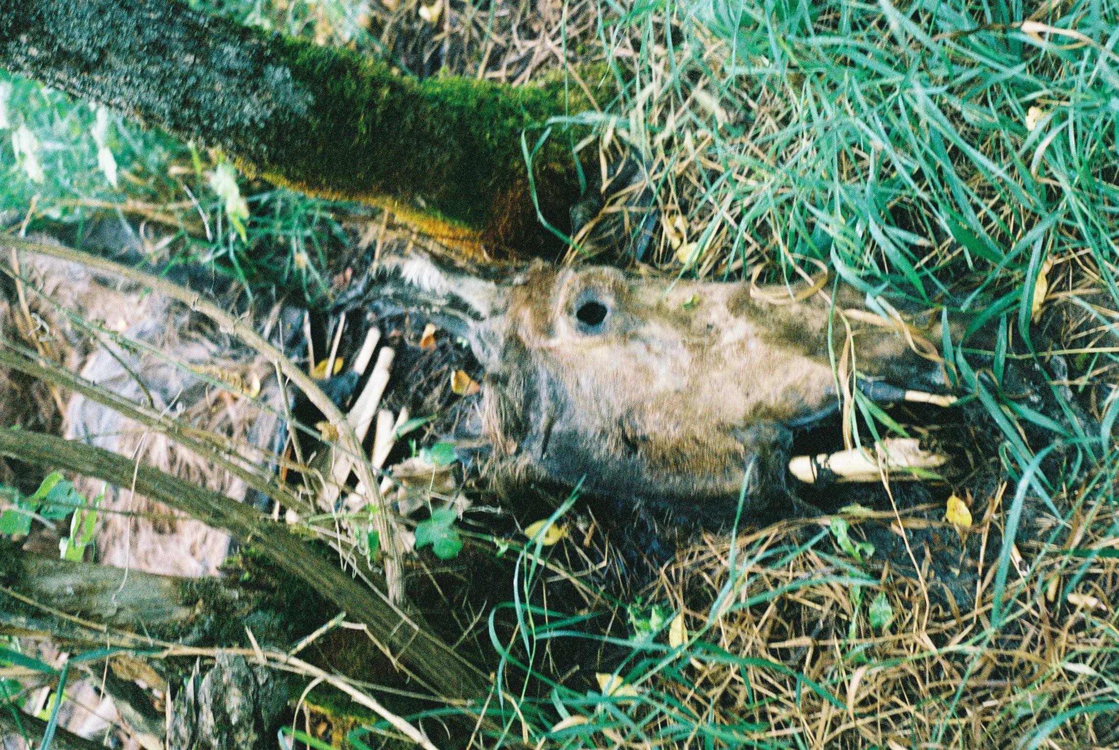 IMG1847-R01-018A.jpg