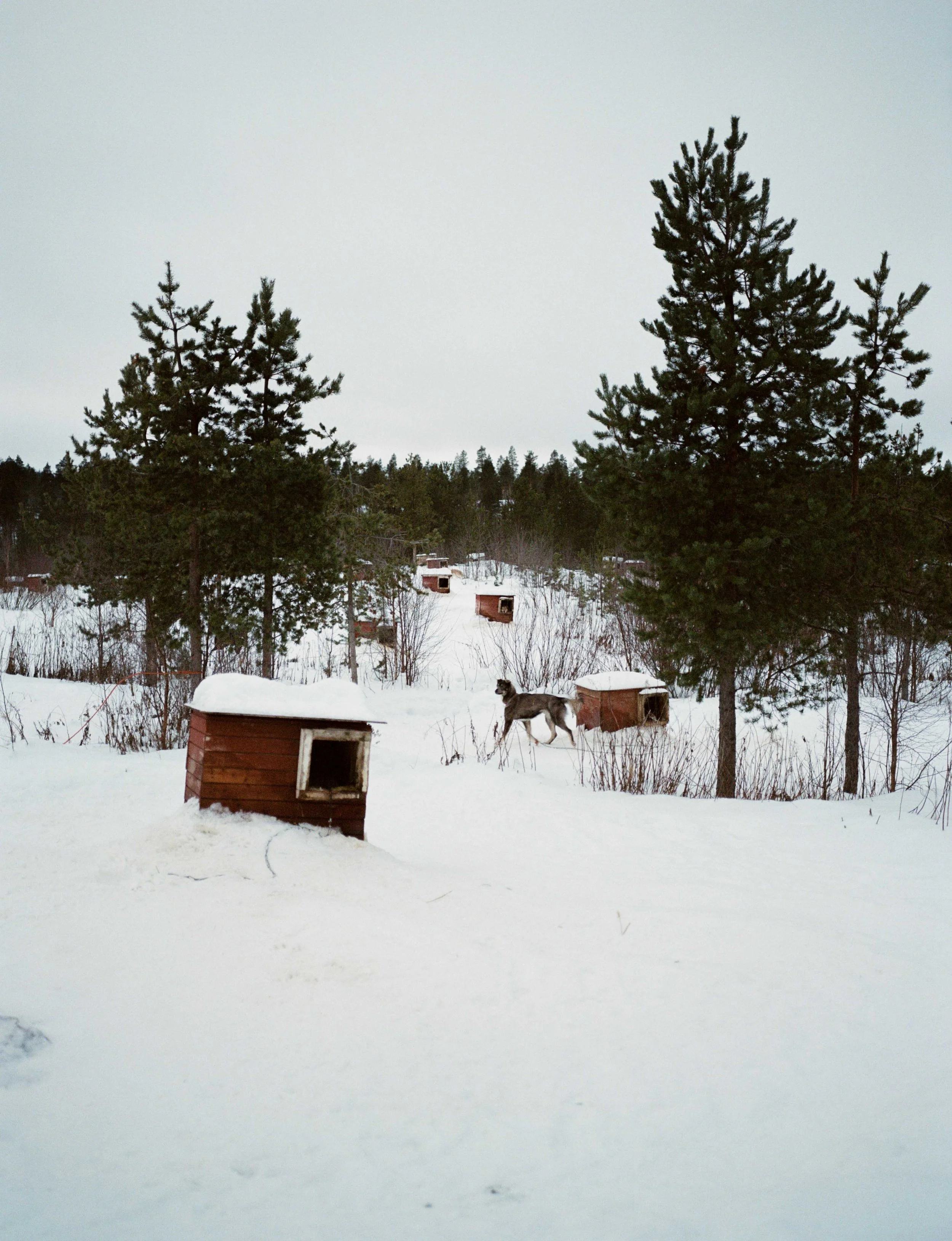 Ivalo, Finland.