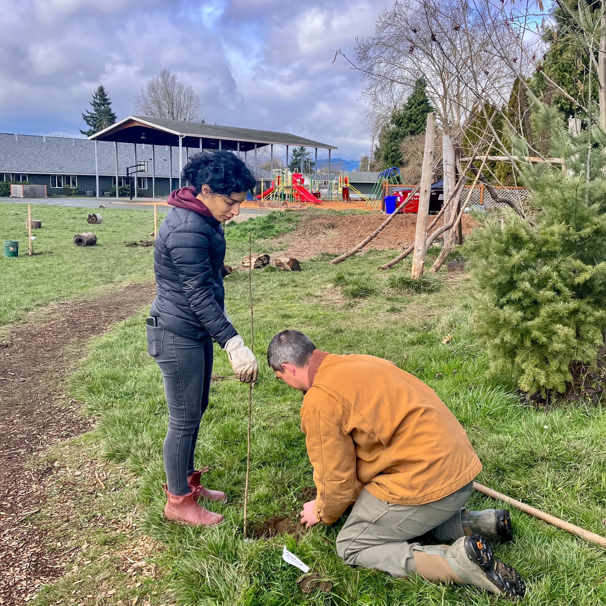 Parents plantinig a tree