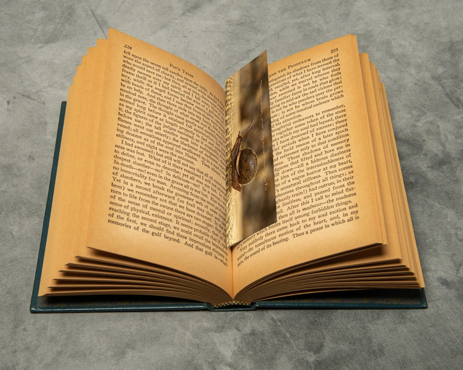 Life in the Fast Lane Bookmark in Book.jpg