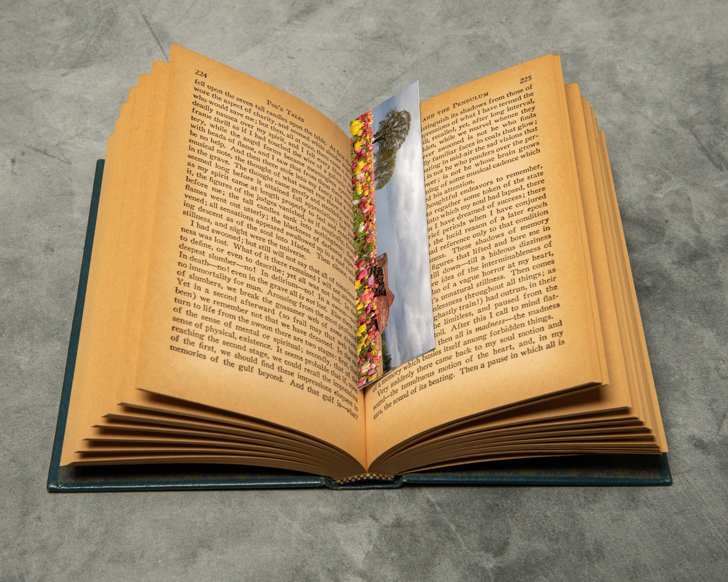 Field of Dreams Bookmark in Book.jpg