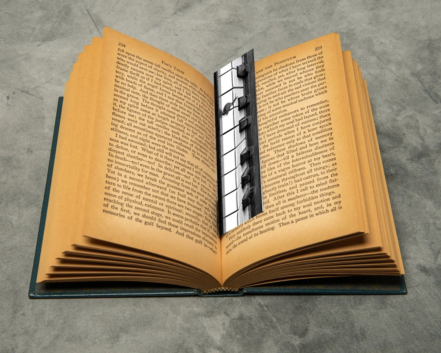 Slow Jam Bookmark in Book.jpg