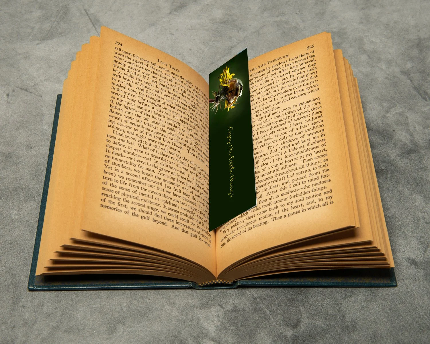 Dandelion King Bookmark in Book.jpg