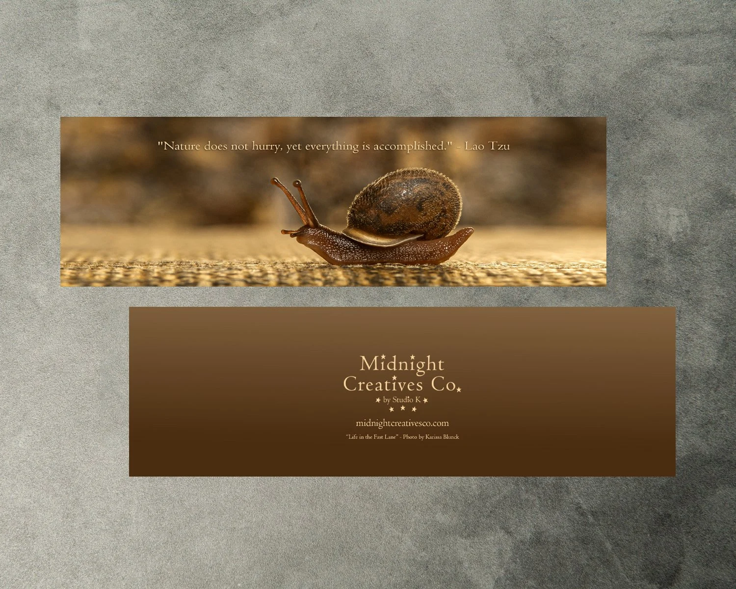 Life in the Fast Lane Bookmark.jpg