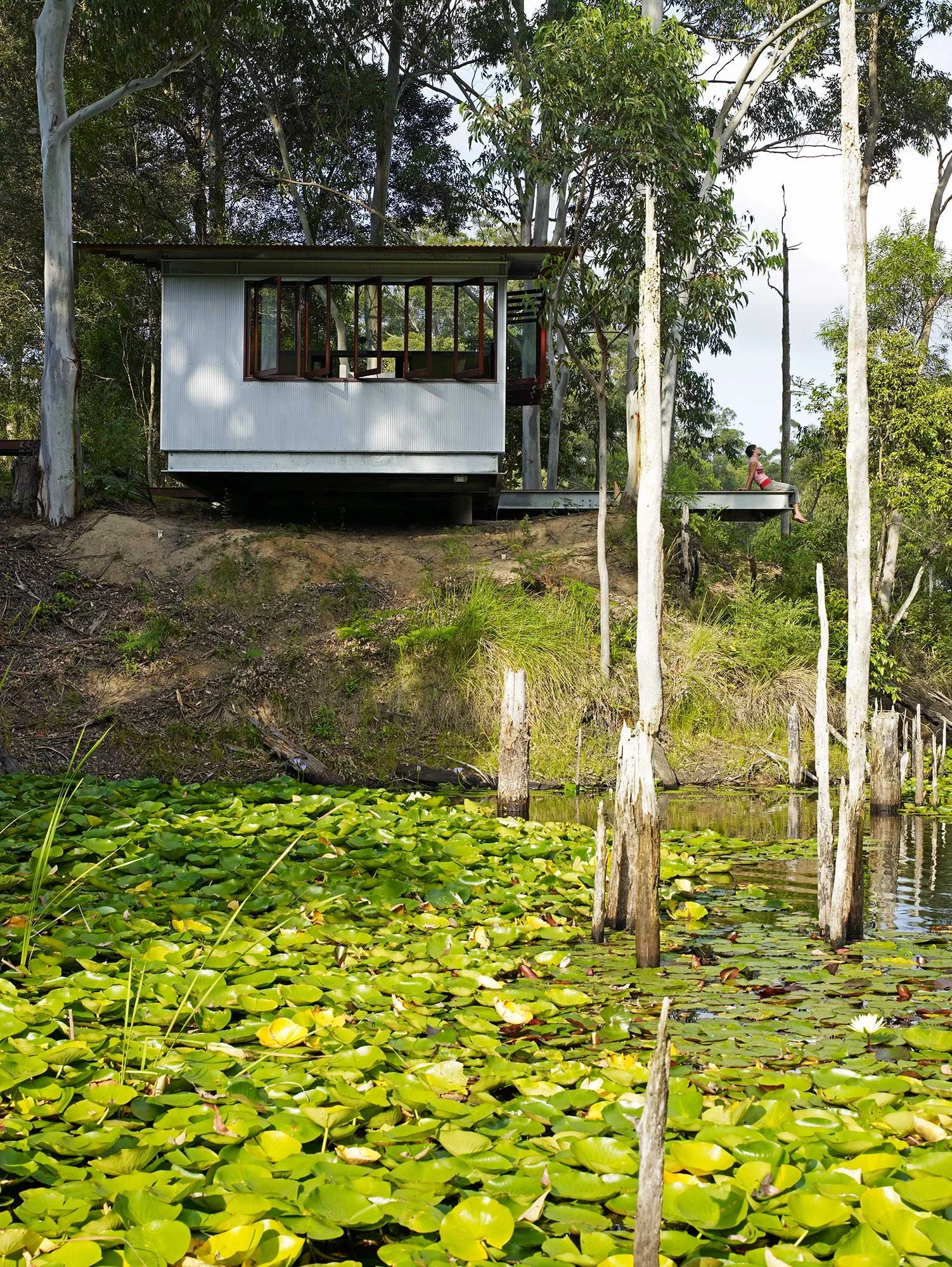 JILLIBY HOUSE by Fergus Scott Architects