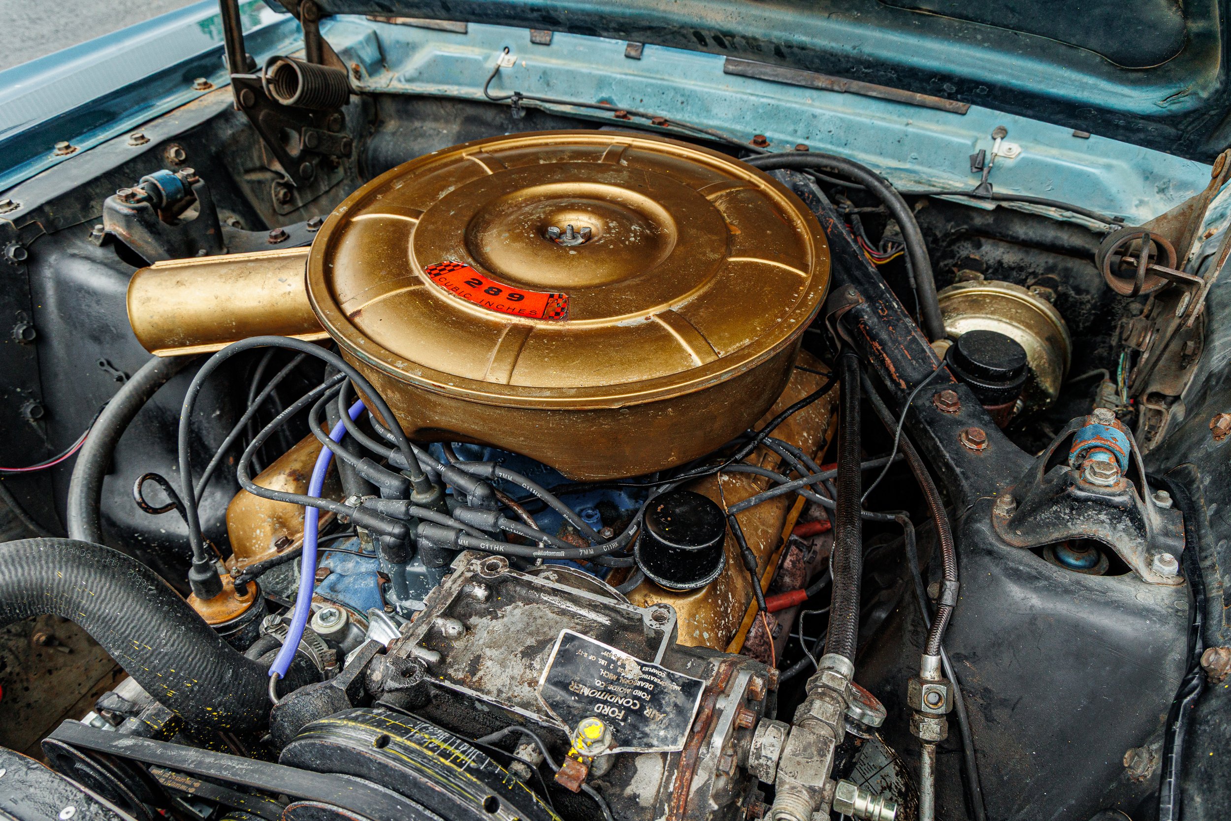 Mustang-055.jpg