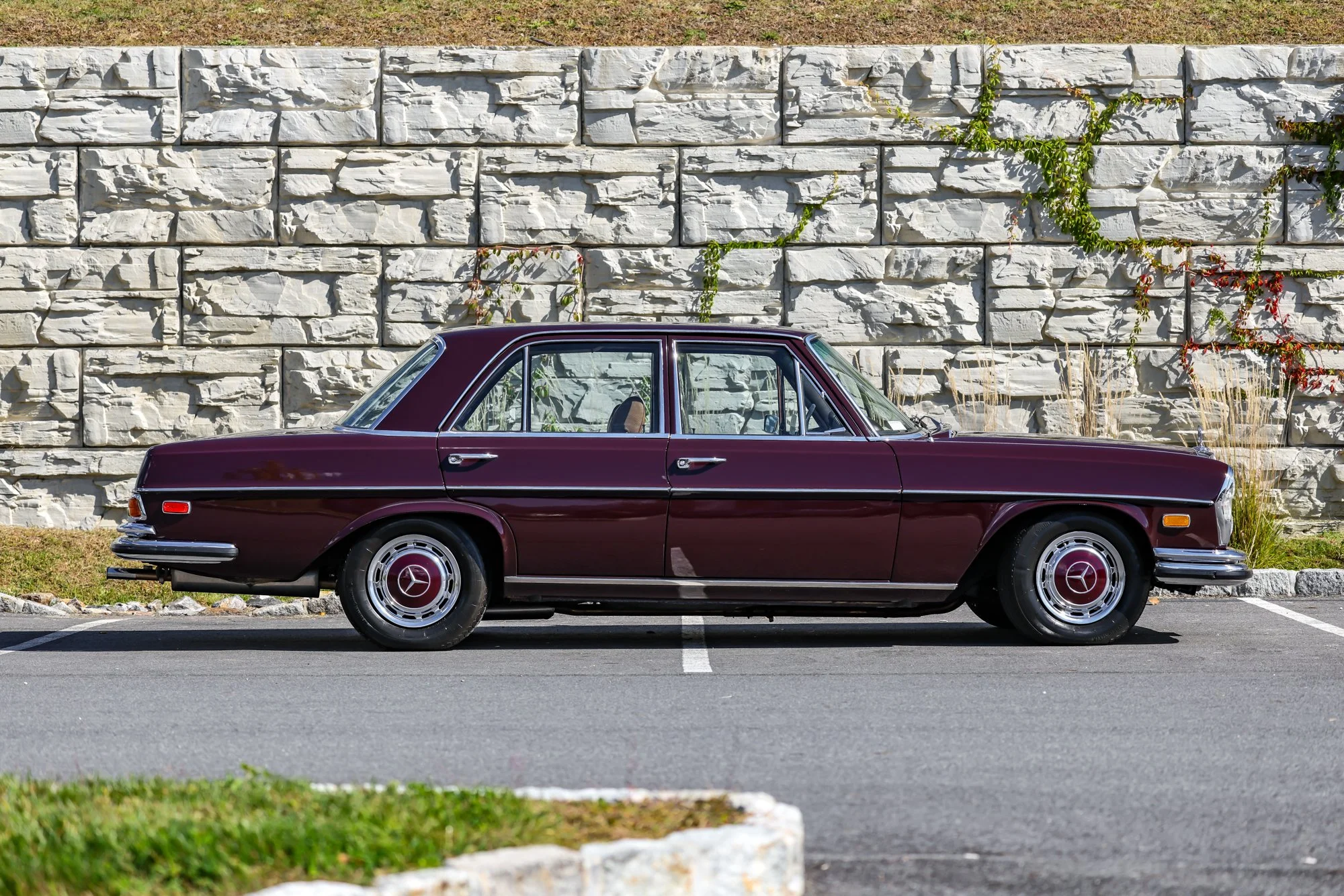 Merc (15).jpg (Copy)