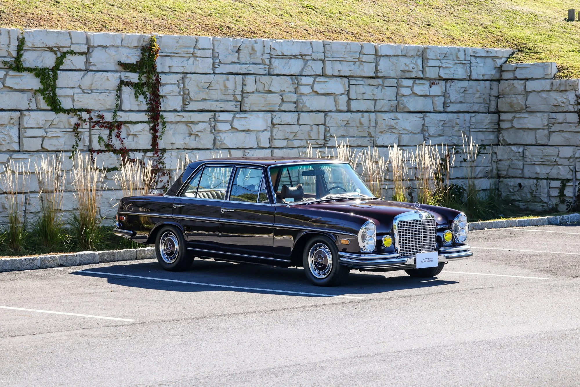 Merc (4).jpg (Copy)